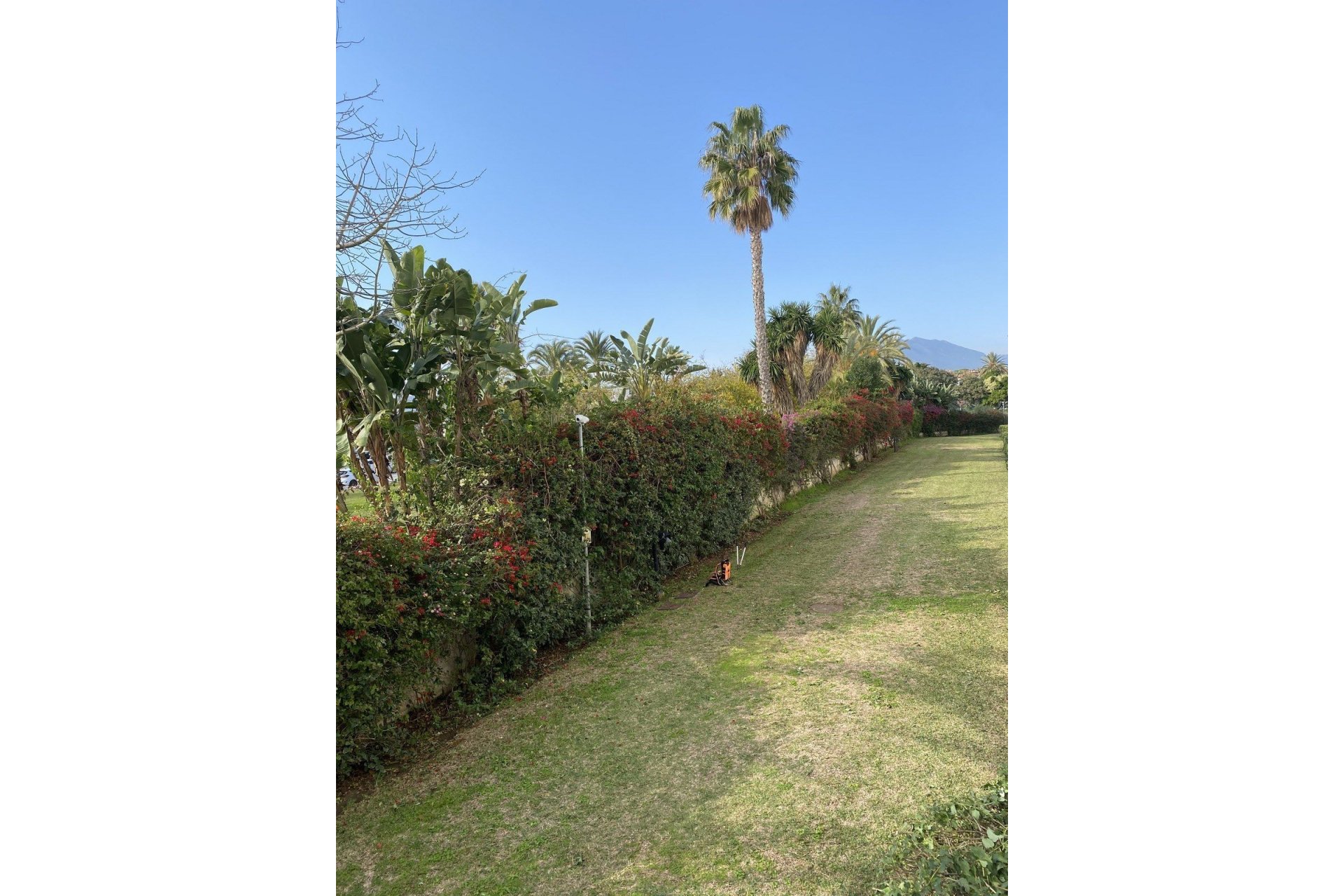 Resale - Ground floor apartment - Marbella - Puerto Banús