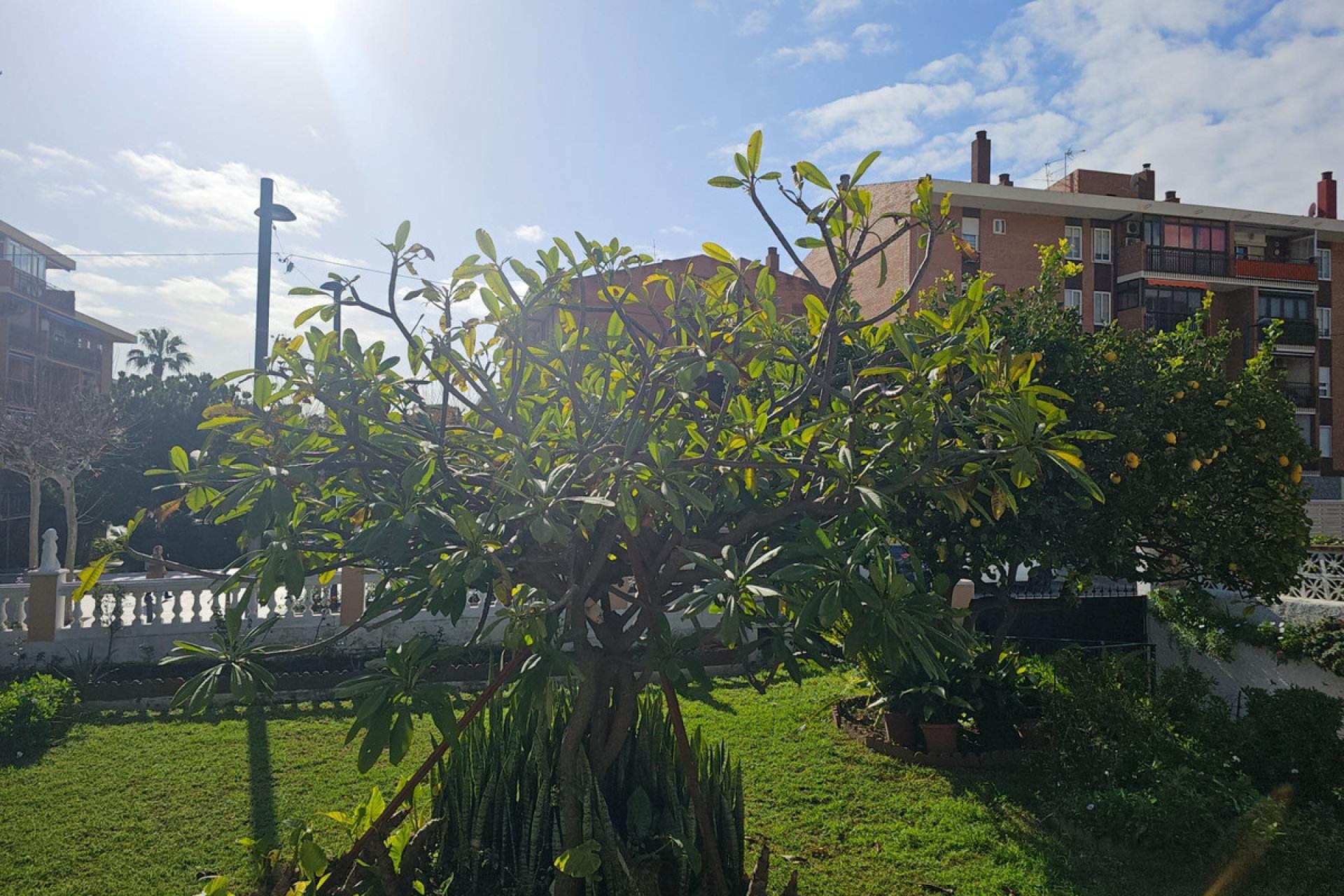 Resale - House - Bungalow - Benalmádena - Arroyo de la Miel