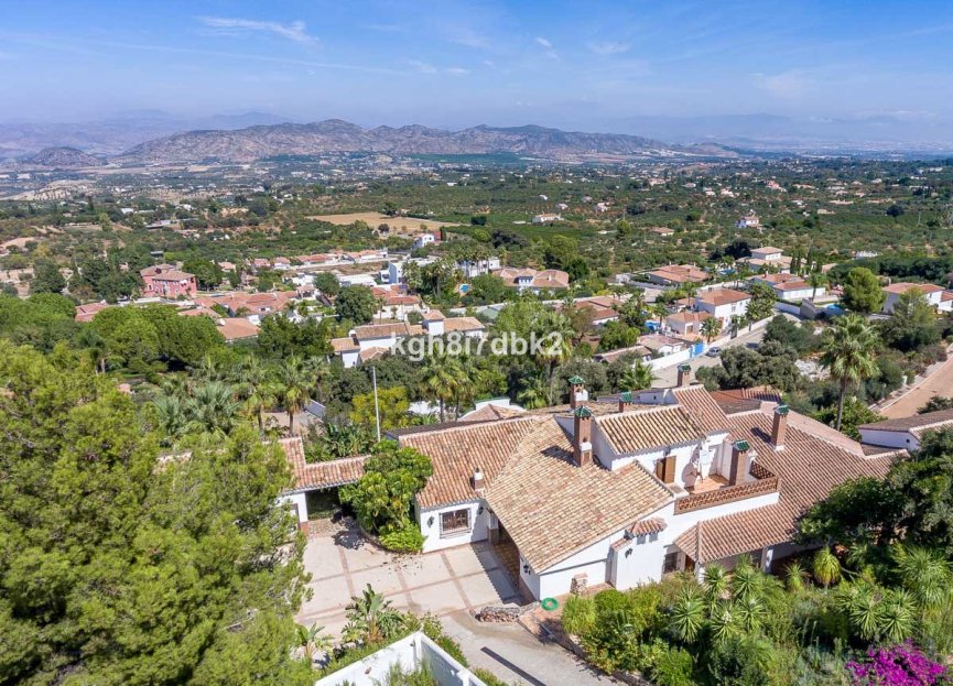 Resale - House - Detached Villa - Alhaurín el Grande - Alhaurín el Grande Centro