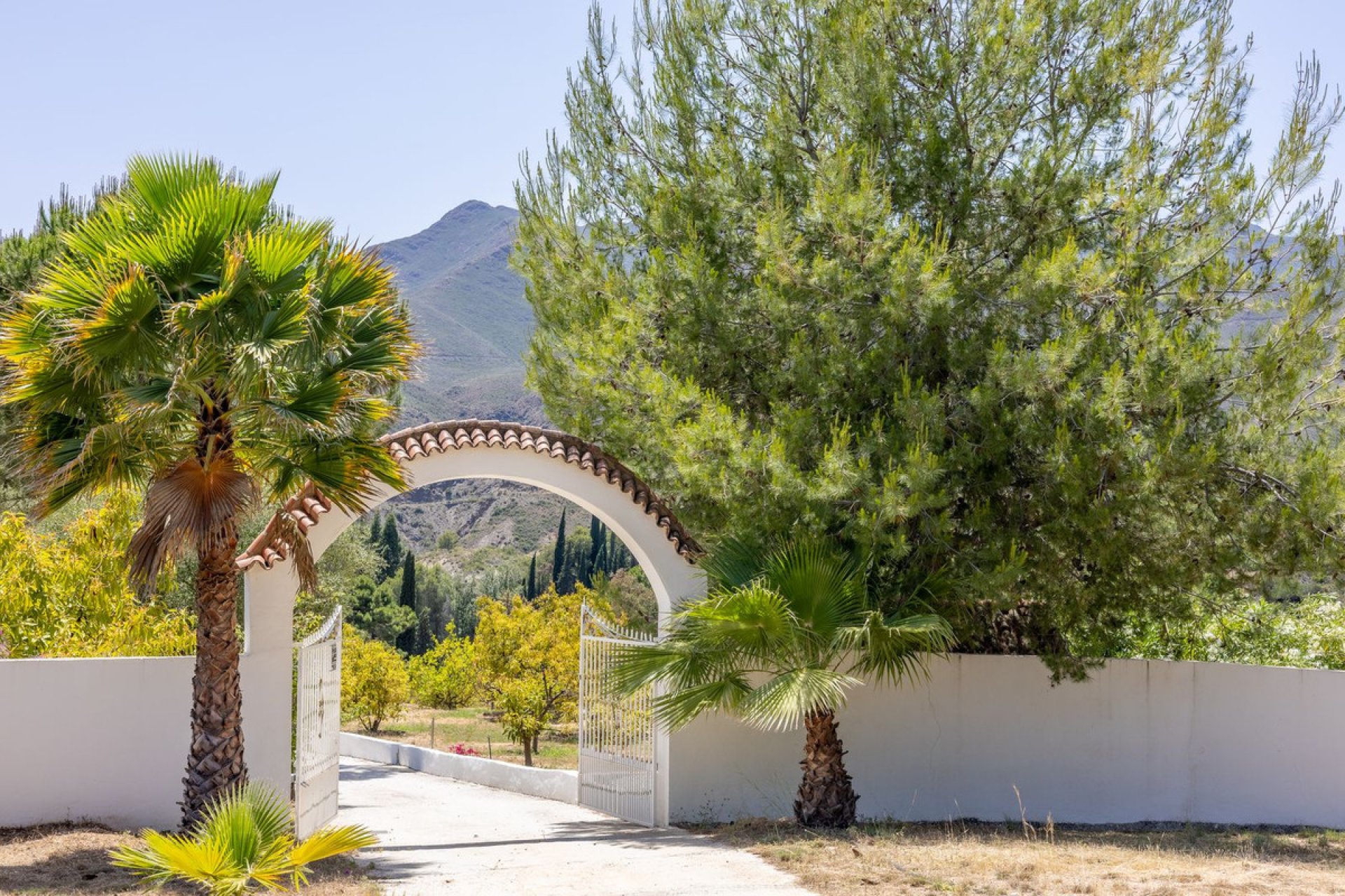 Resale - House - Detached Villa - Alhaurín el Grande - Alhaurín el Grande Centro