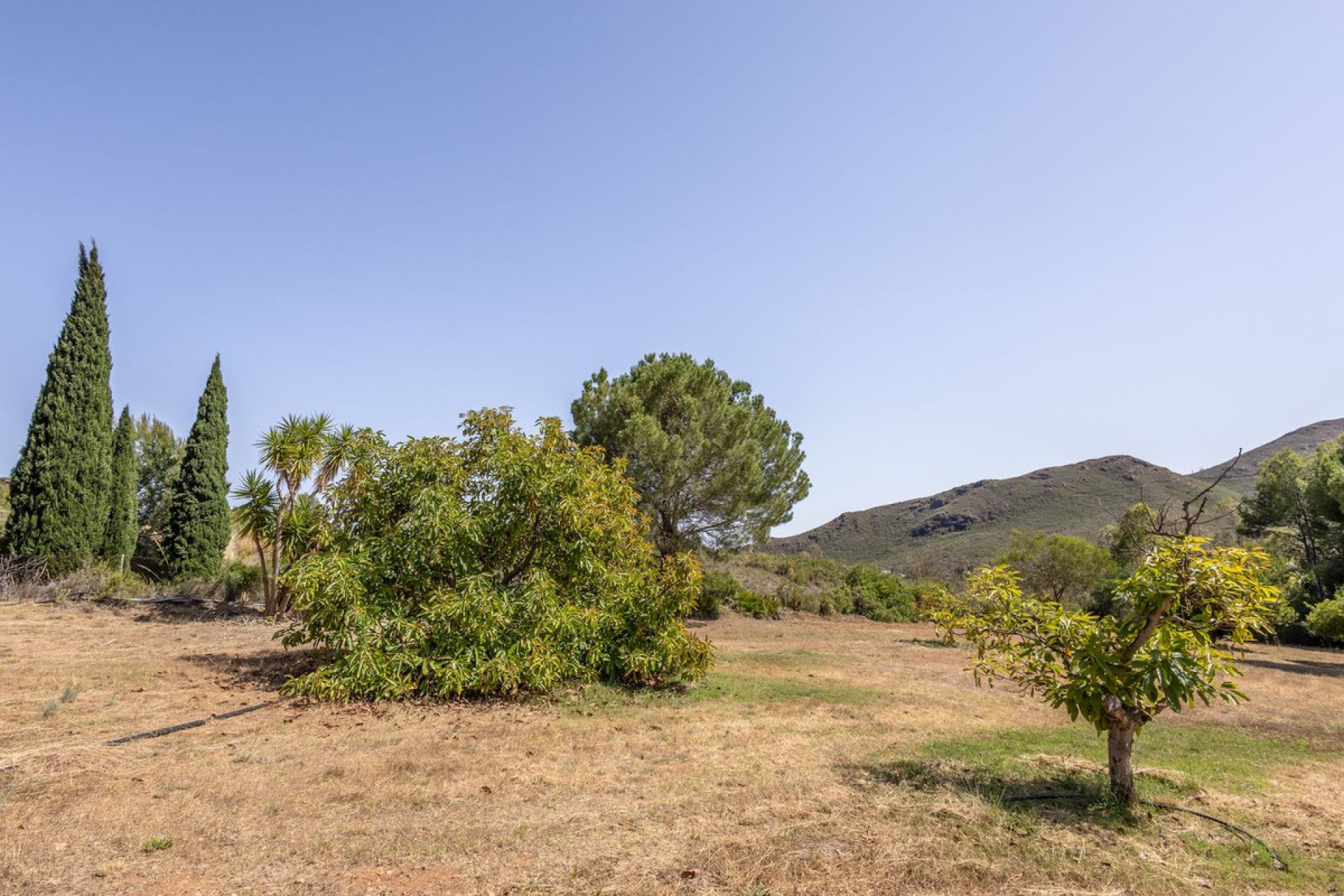 Resale - House - Detached Villa - Alhaurín el Grande - Alhaurín el Grande Centro