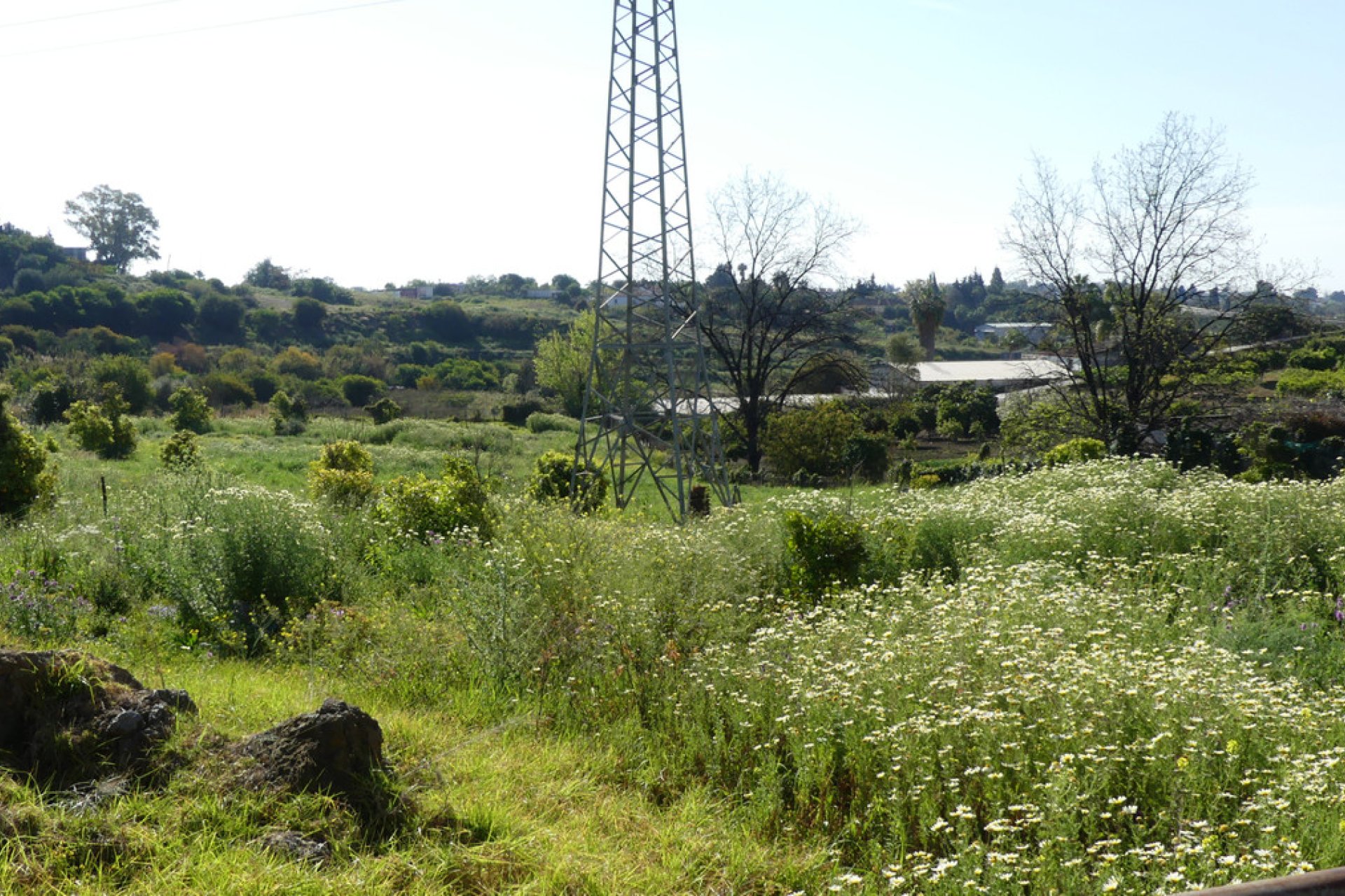 Resale - House - Detached Villa - Benahavís - Benahavís Centro