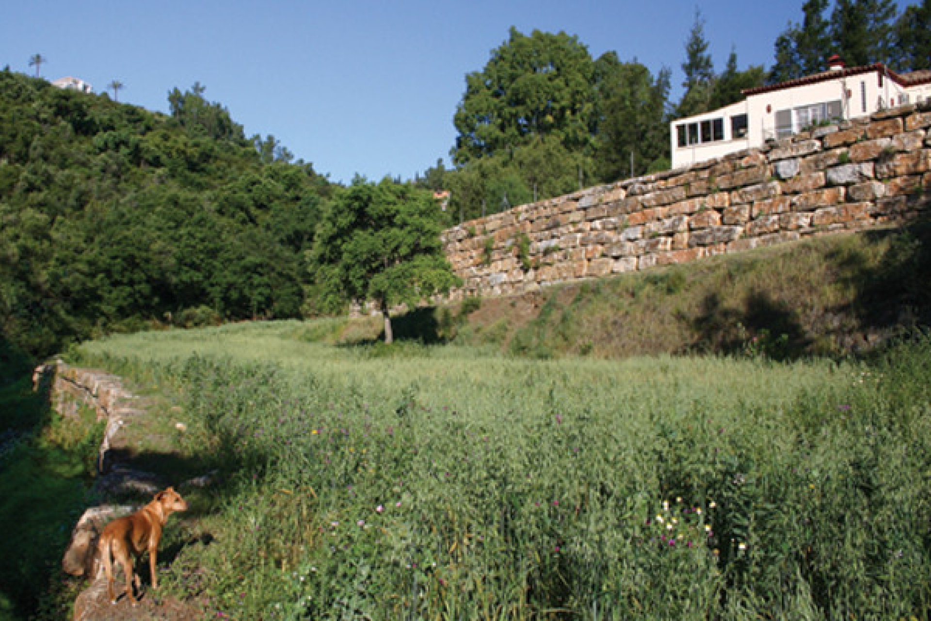 Resale - House - Detached Villa - Benahavís - Benahavís Centro