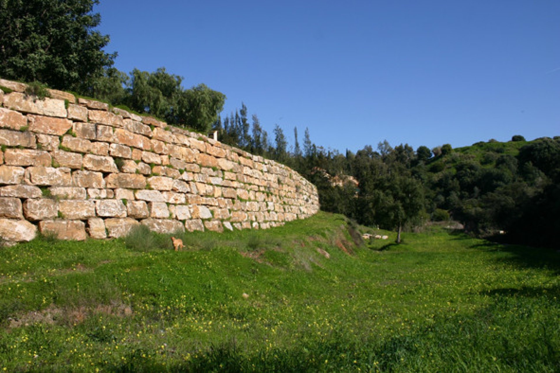 Resale - House - Detached Villa - Benahavís - Benahavís Centro