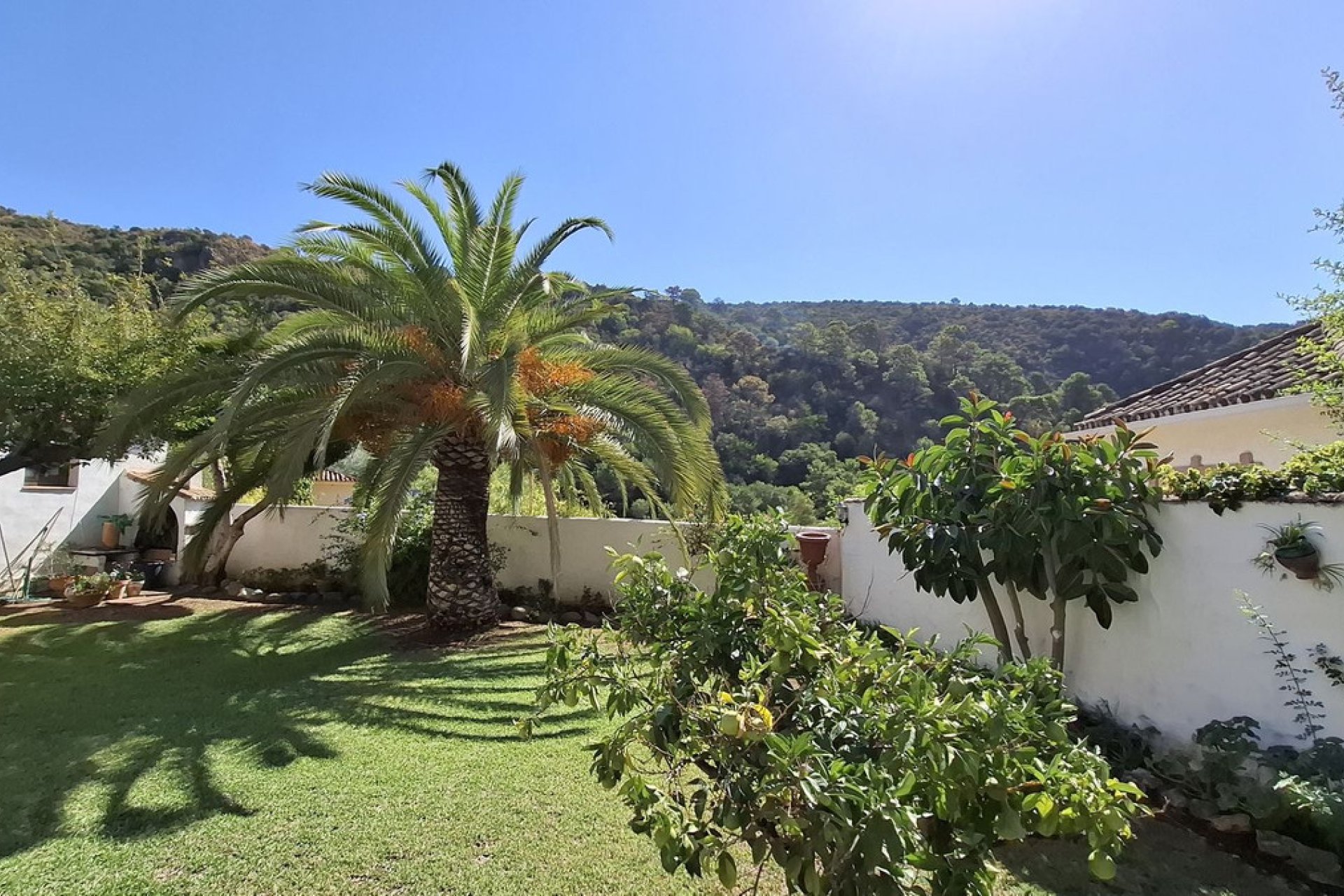 Resale - House - Detached Villa - Benahavís - Benahavís Centro