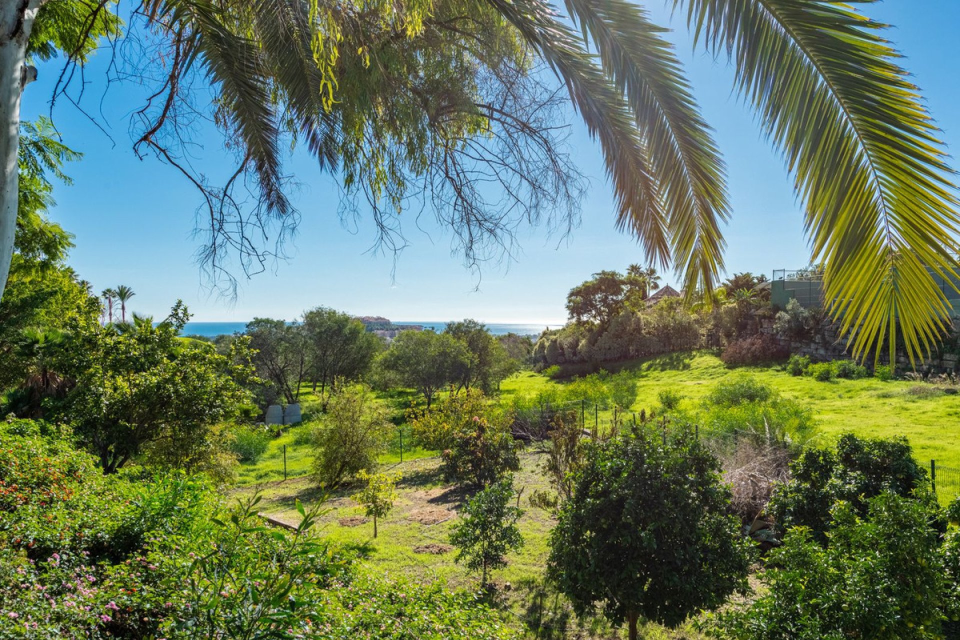 Resale - House - Detached Villa - Benahavís - Benahavís Centro