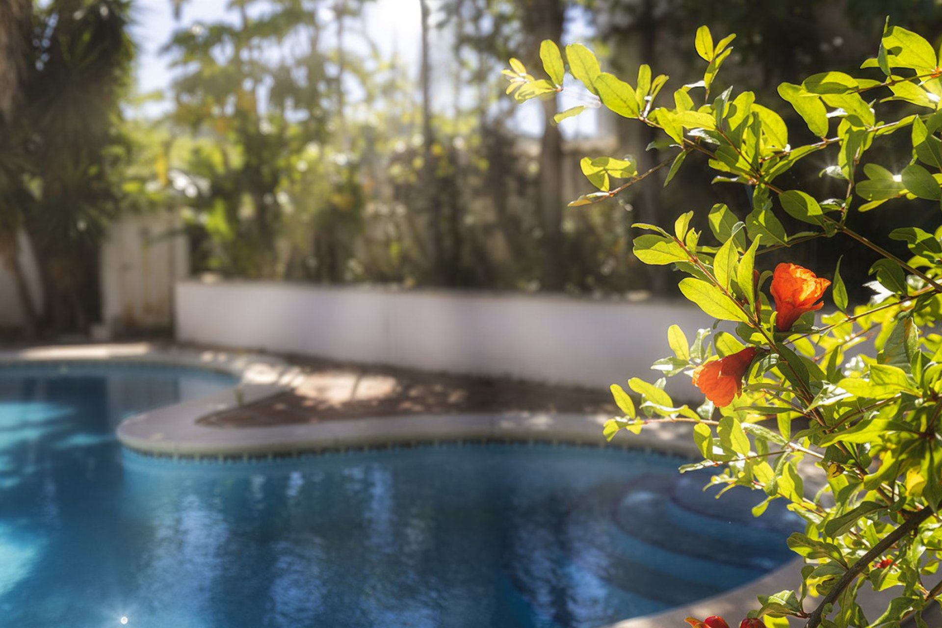 Resale - House - Detached Villa - Benahavís - Benahavís Centro