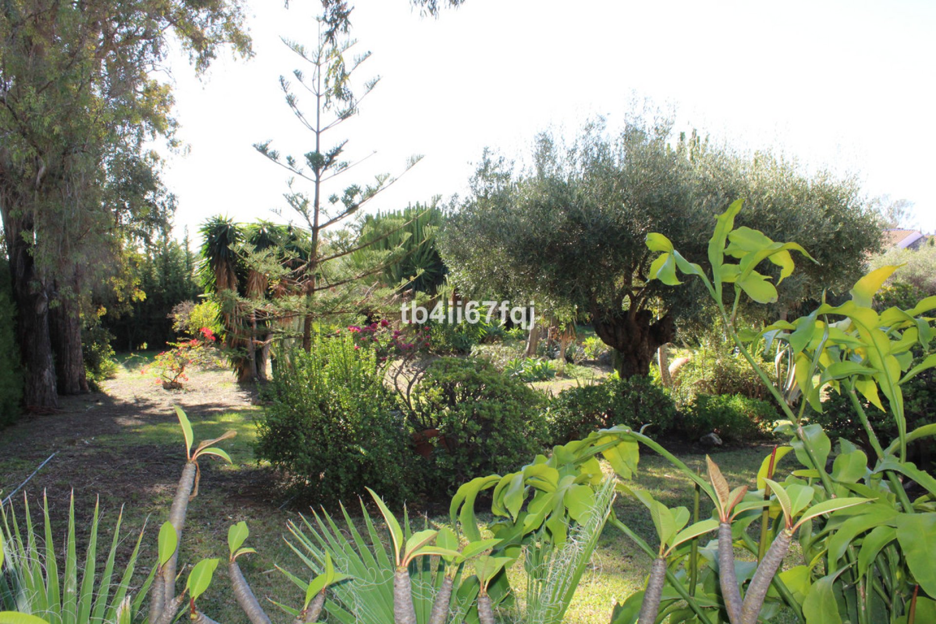 Resale - House - Detached Villa - Estepona - Atalaya