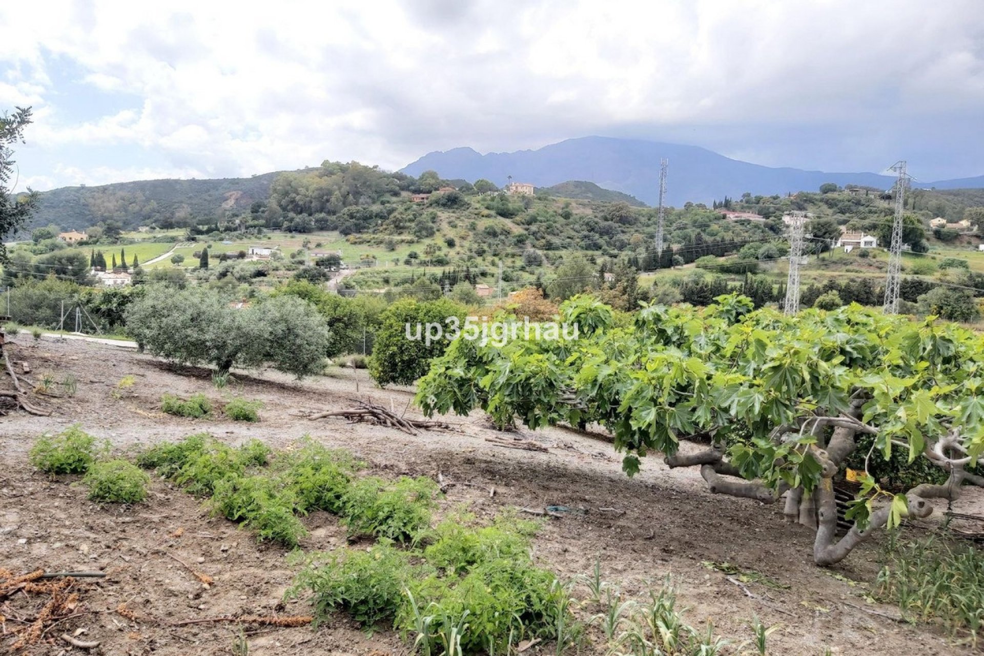 Resale - House - Detached Villa - Estepona - Estepona Centro