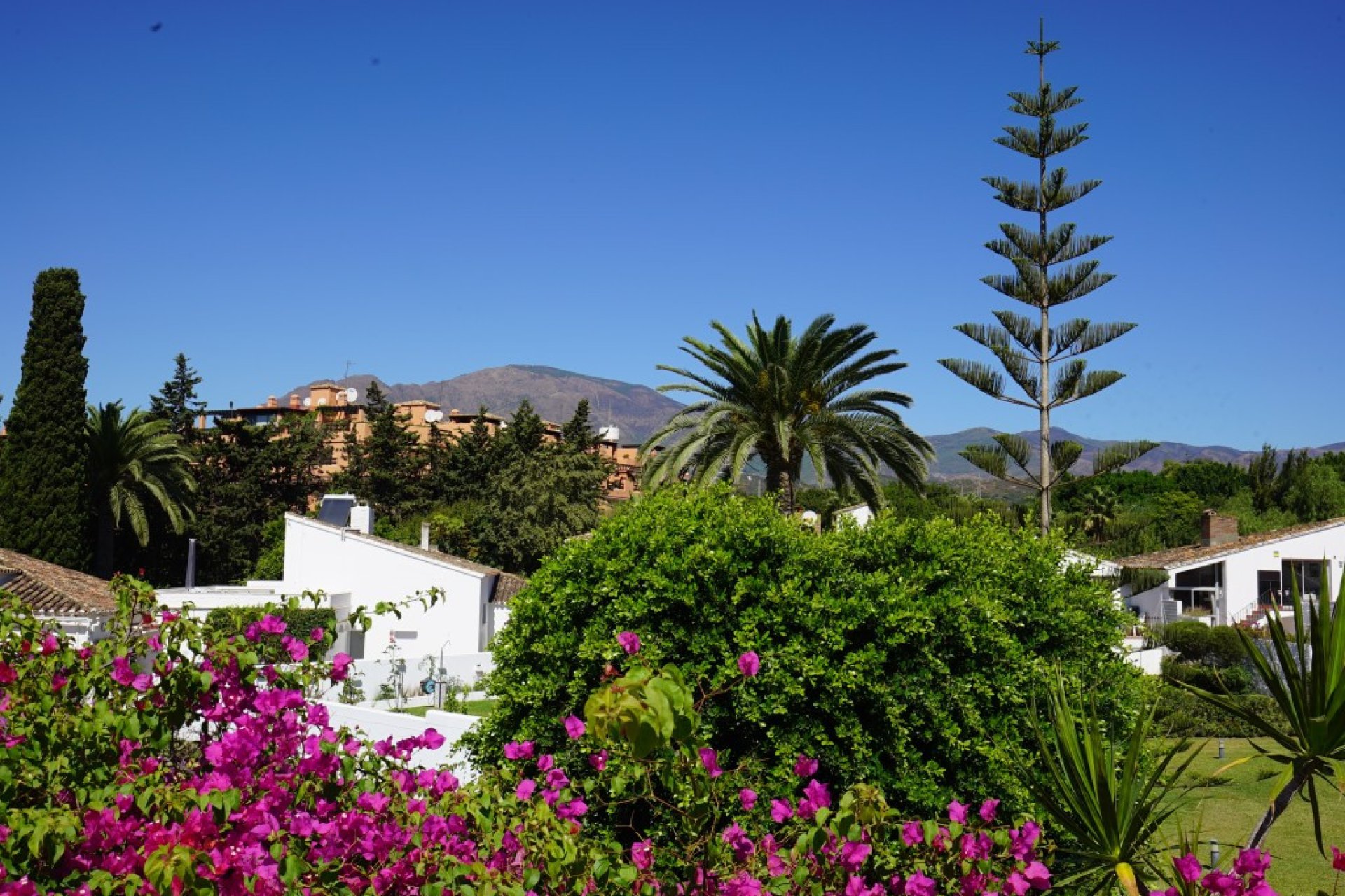 Resale - House - Detached Villa - Estepona - Estepona Centro