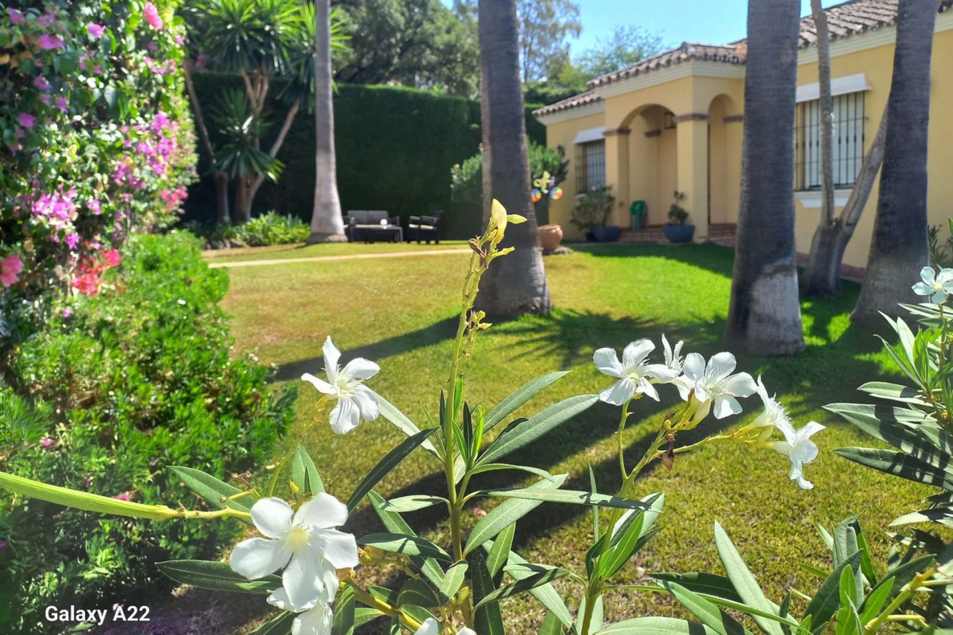 Resale - House - Detached Villa - Estepona - Estepona Centro