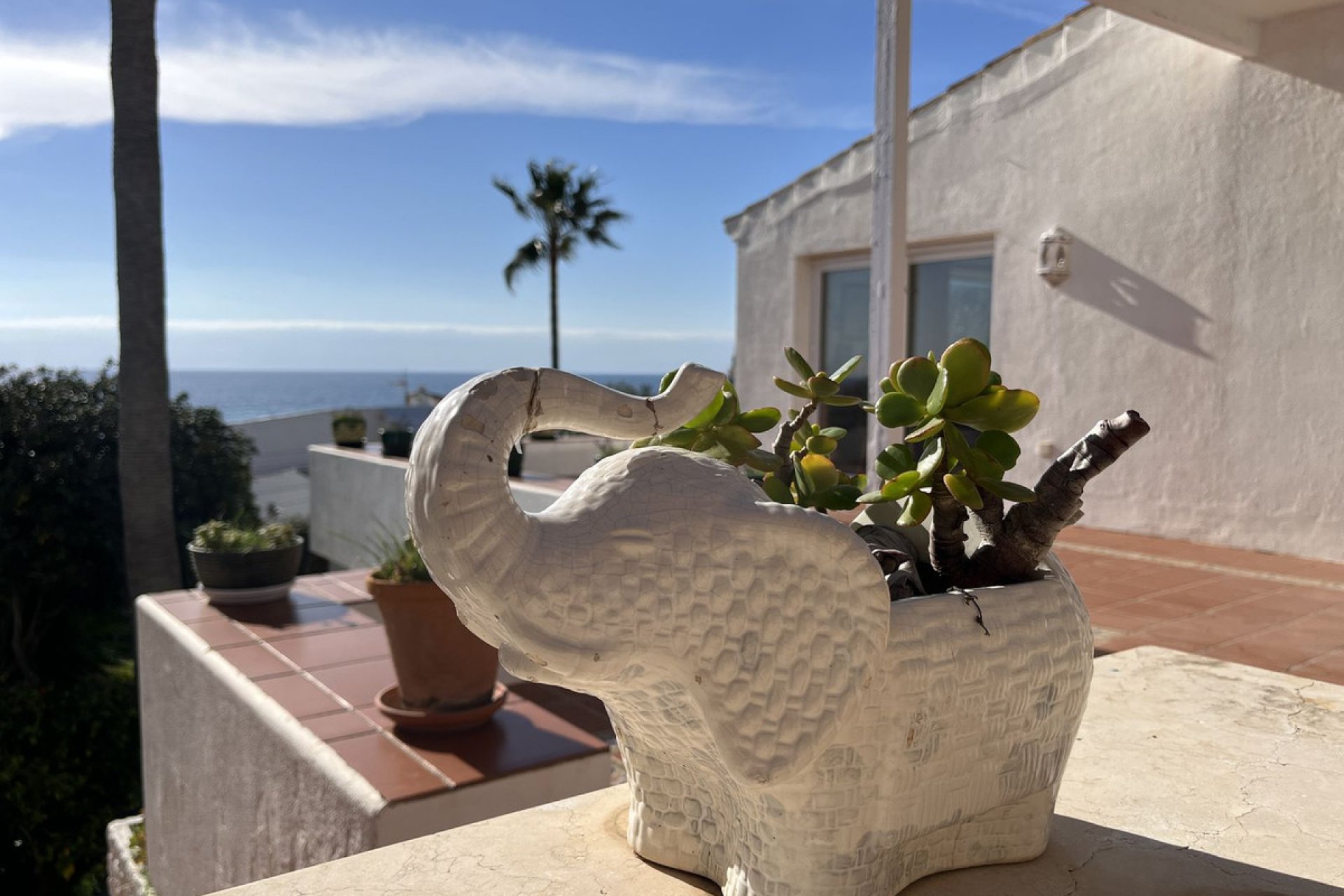 Resale - House - Detached Villa - Estepona - Estepona Centro