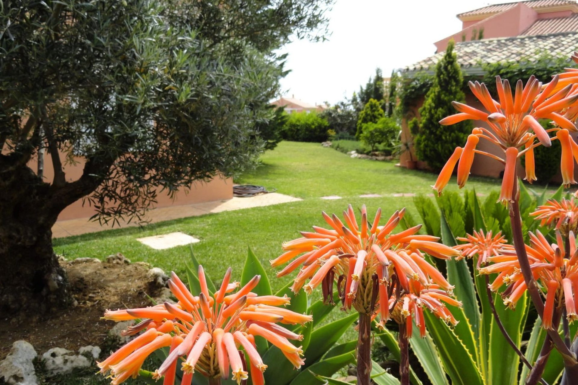 Resale - House - Detached Villa - Estepona - Estepona Centro