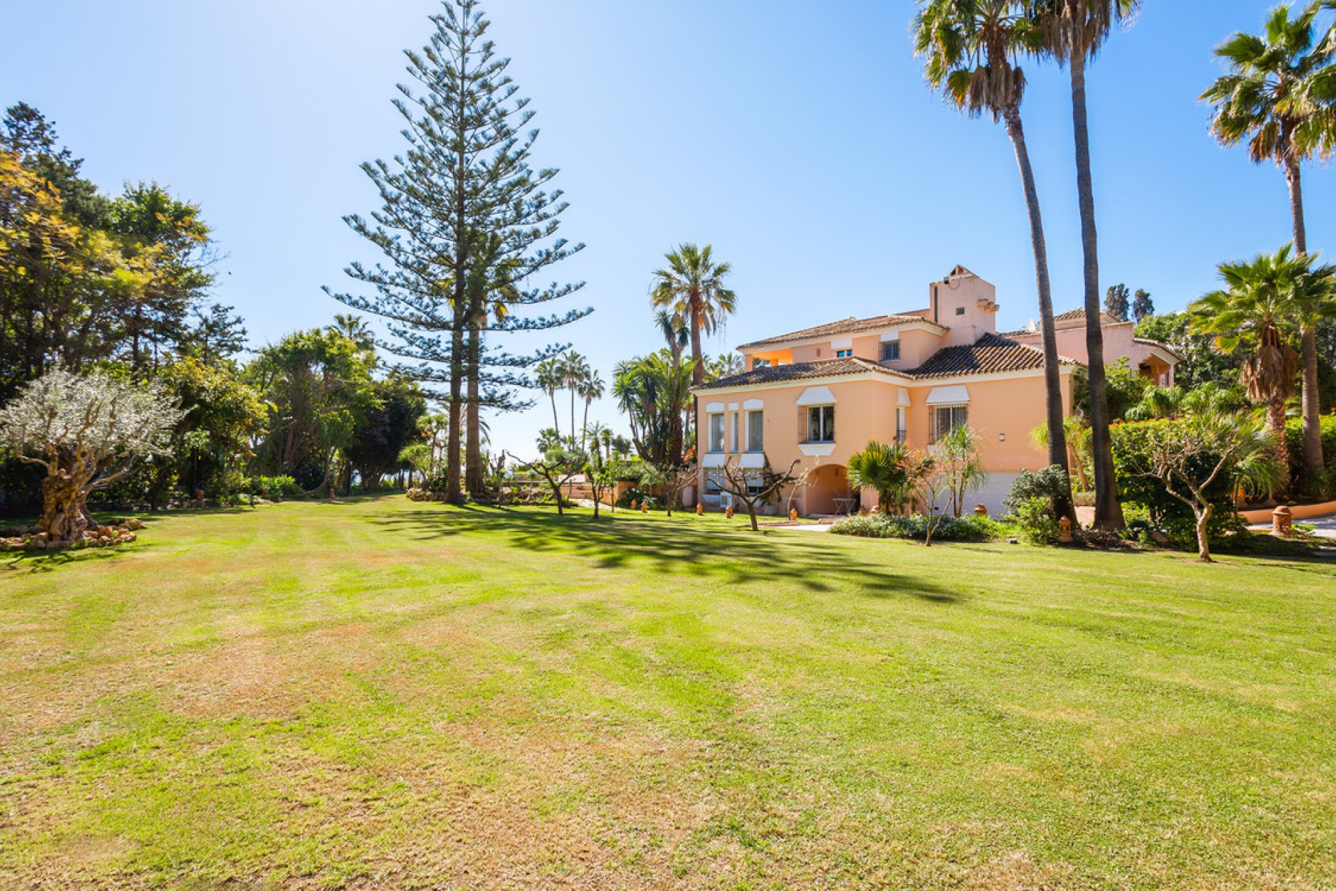 Resale - House - Detached Villa - Estepona - Estepona Centro