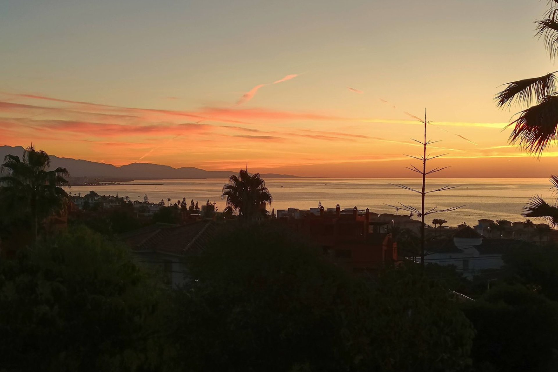 Resale - House - Detached Villa - Estepona - Estepona Centro