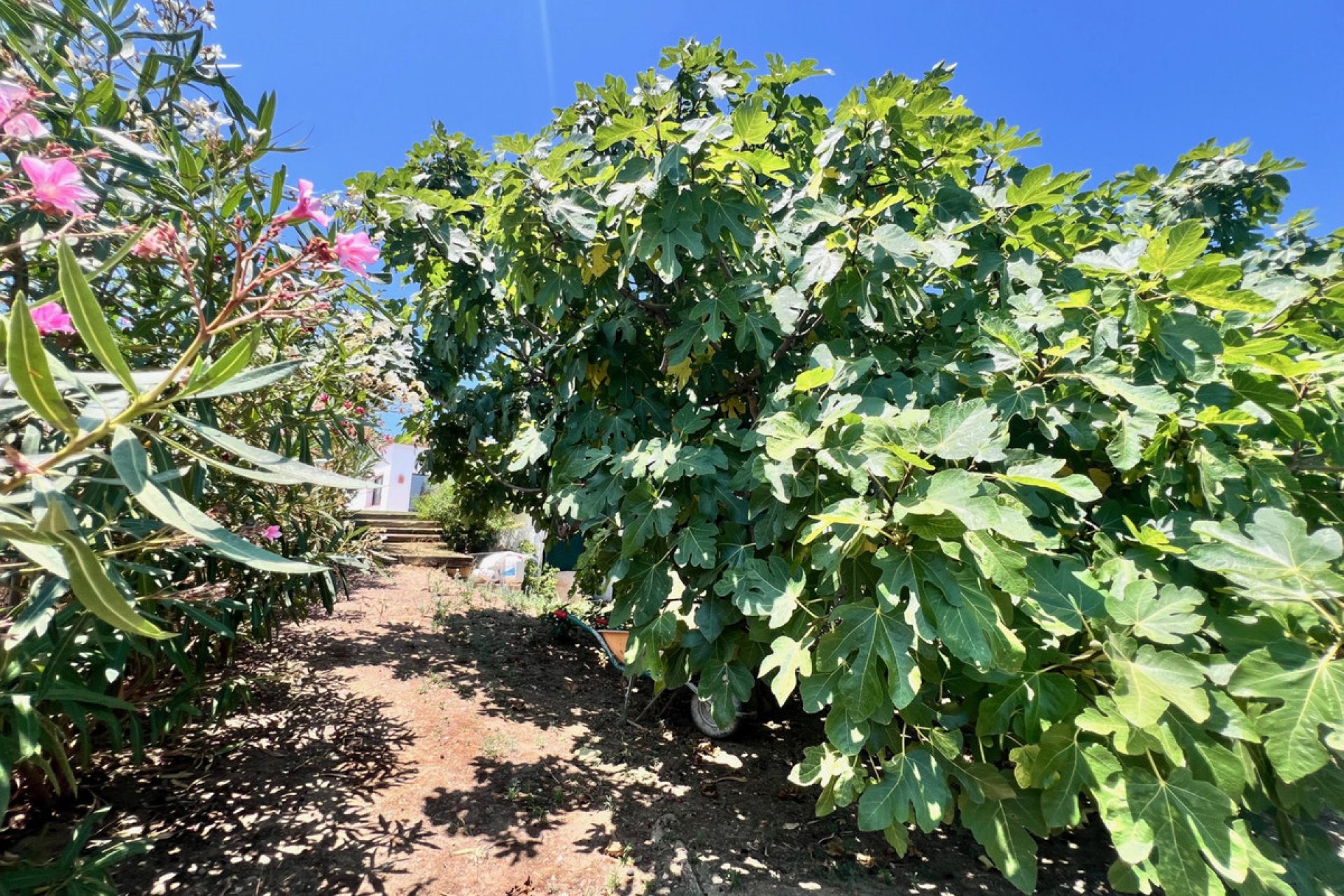 Resale - House - Detached Villa - Estepona - Estepona Centro