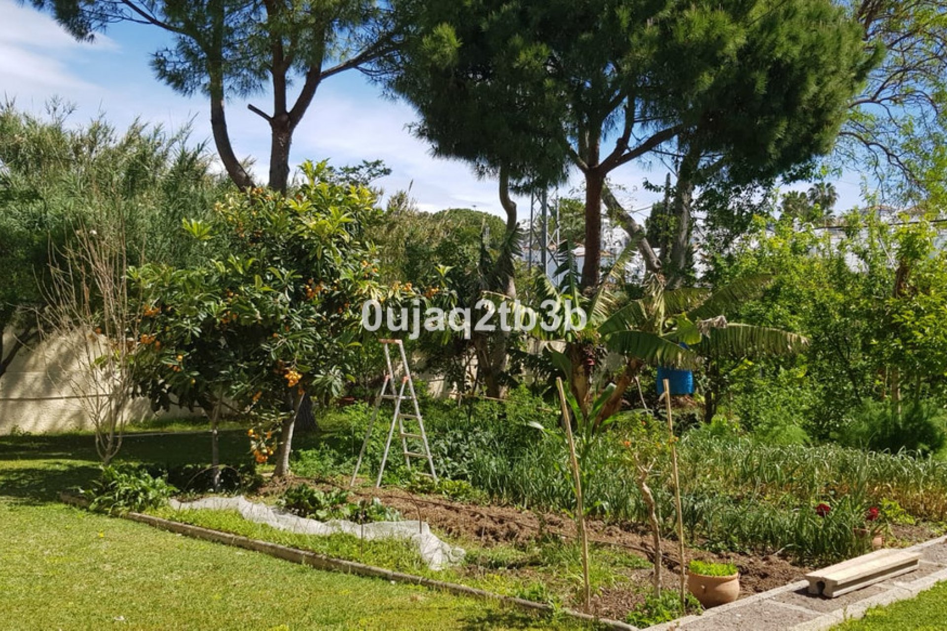 Resale - House - Detached Villa - Estepona - New Golden Mile