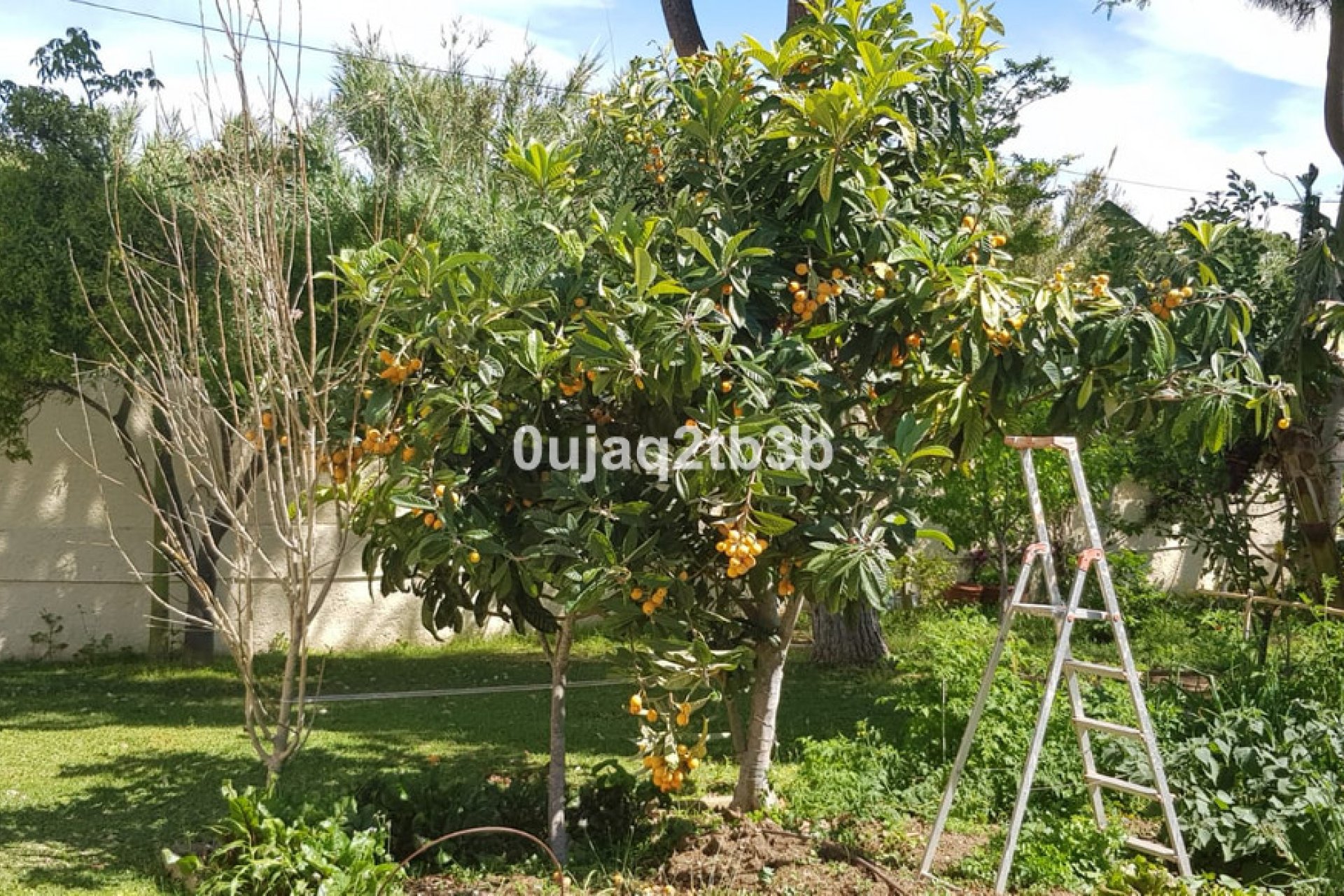 Resale - House - Detached Villa - Estepona - New Golden Mile