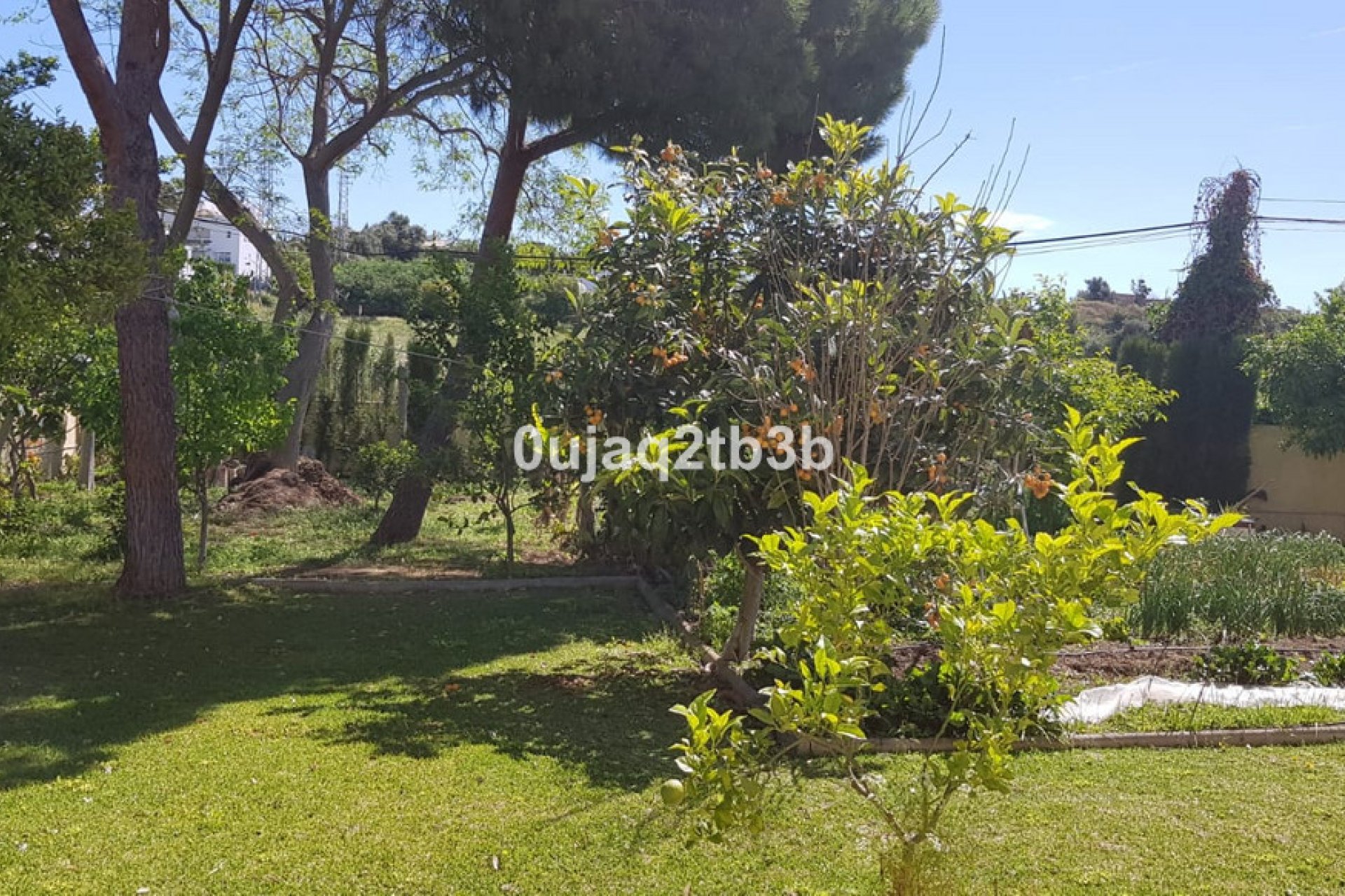 Resale - House - Detached Villa - Estepona - New Golden Mile