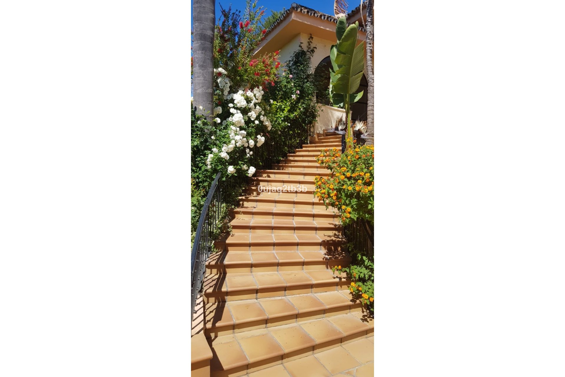 Resale - House - Detached Villa - Estepona - New Golden Mile