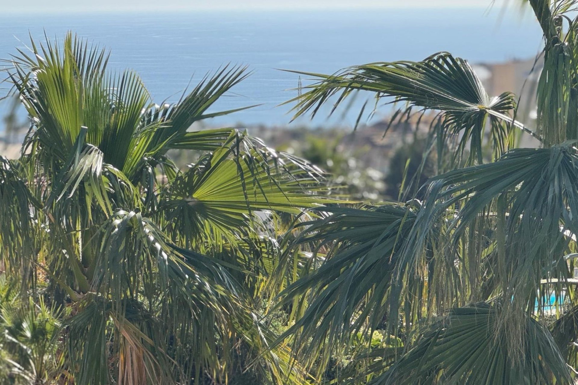 Resale - House - Detached Villa - Fuengirola - Fuengirola Centro