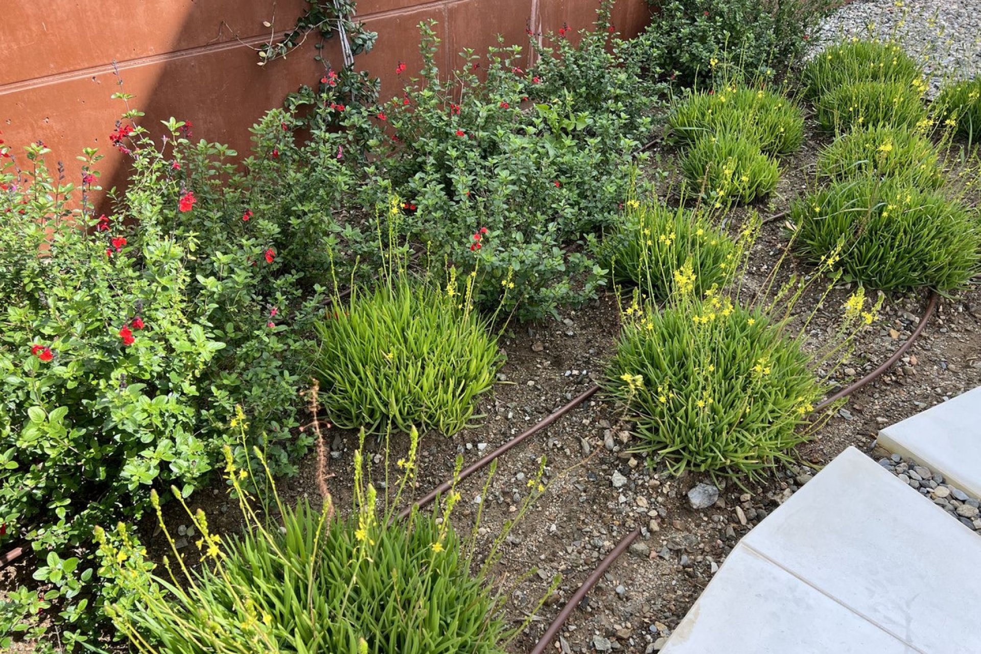 Resale - House - Detached Villa - Fuengirola - Fuengirola Centro