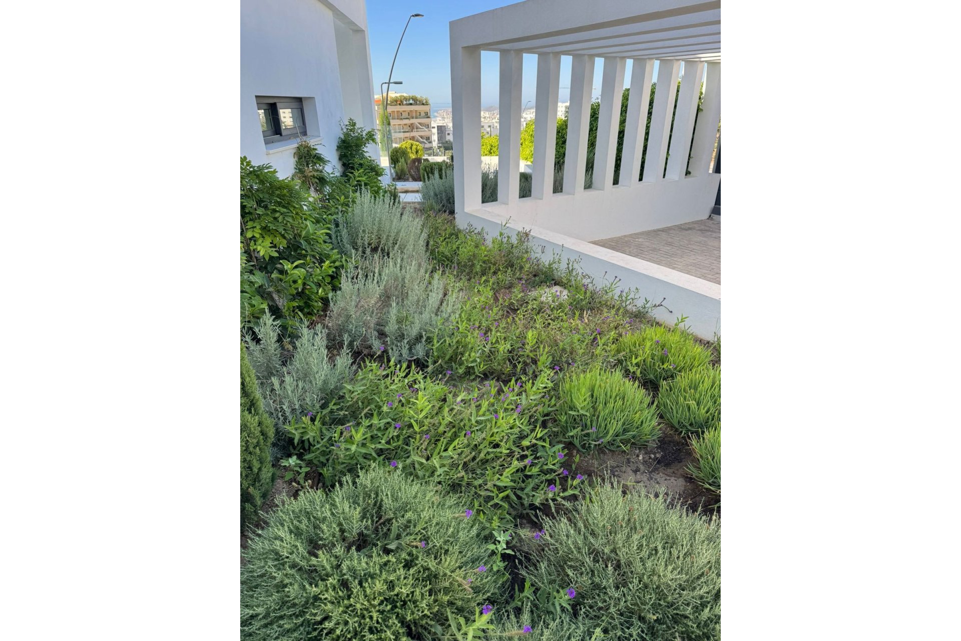 Resale - House - Detached Villa - Fuengirola - Fuengirola Centro