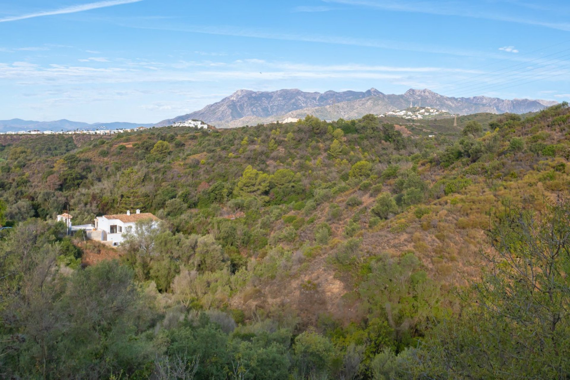 Resale - House - Detached Villa - Marbella - El Rosario