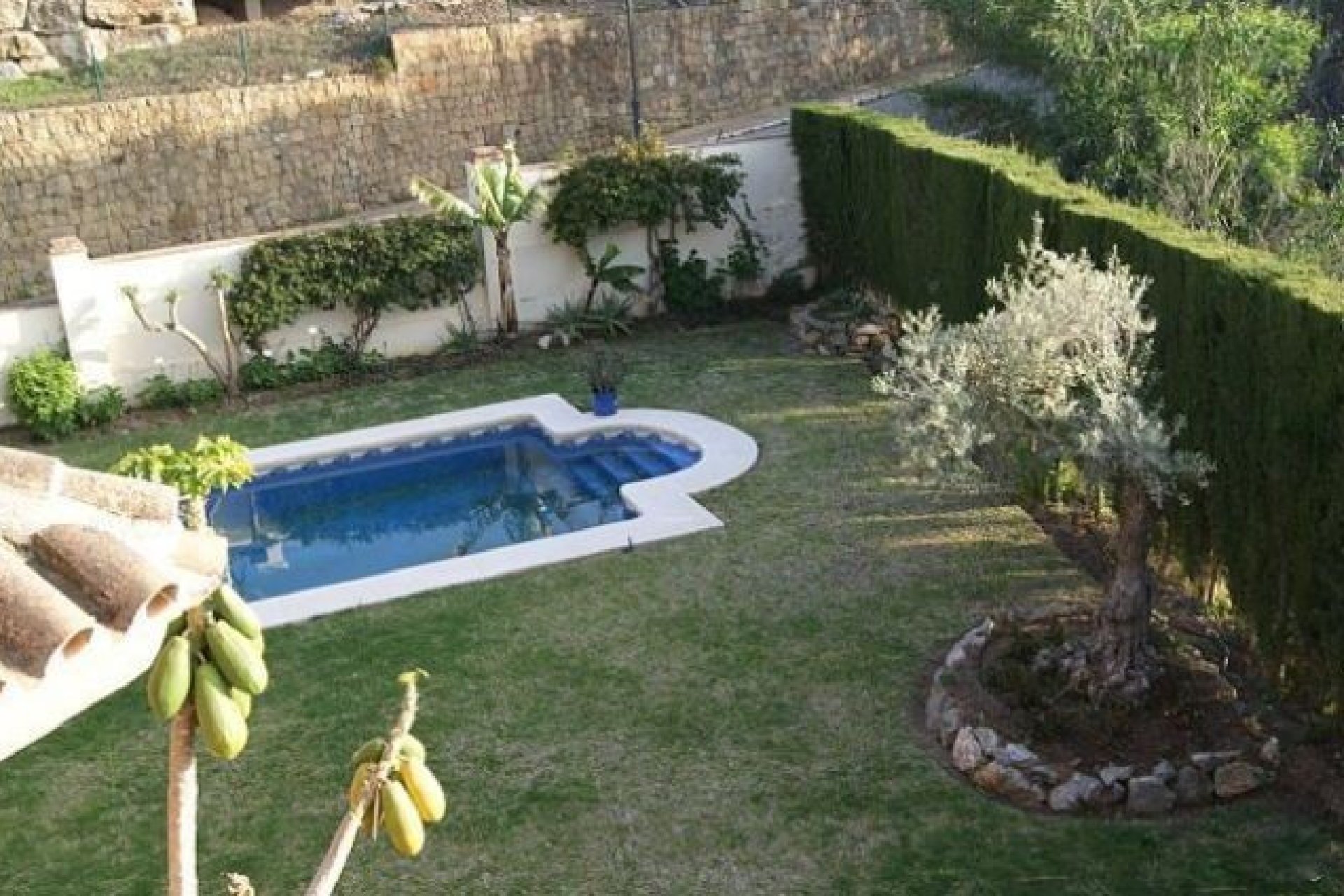 Resale - House - Detached Villa - Marbella - El Rosario