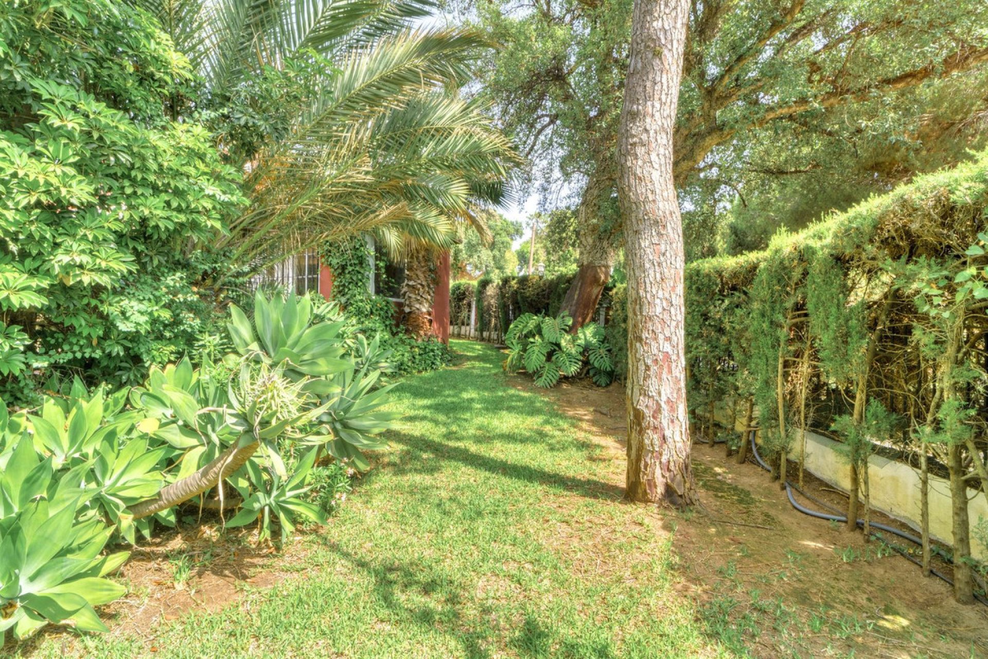 Resale - House - Detached Villa - Marbella - El Rosario