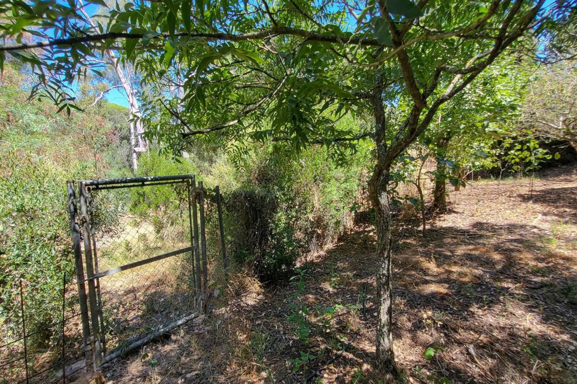 Resale - House - Detached Villa - Marbella - Elviria