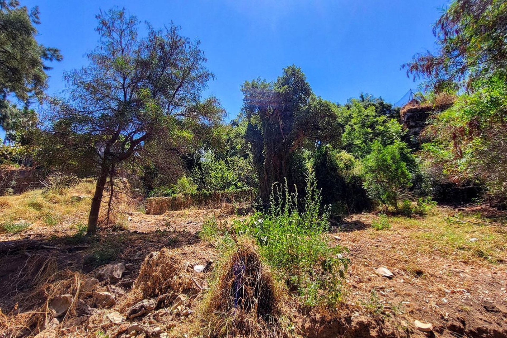 Resale - House - Detached Villa - Marbella - Elviria