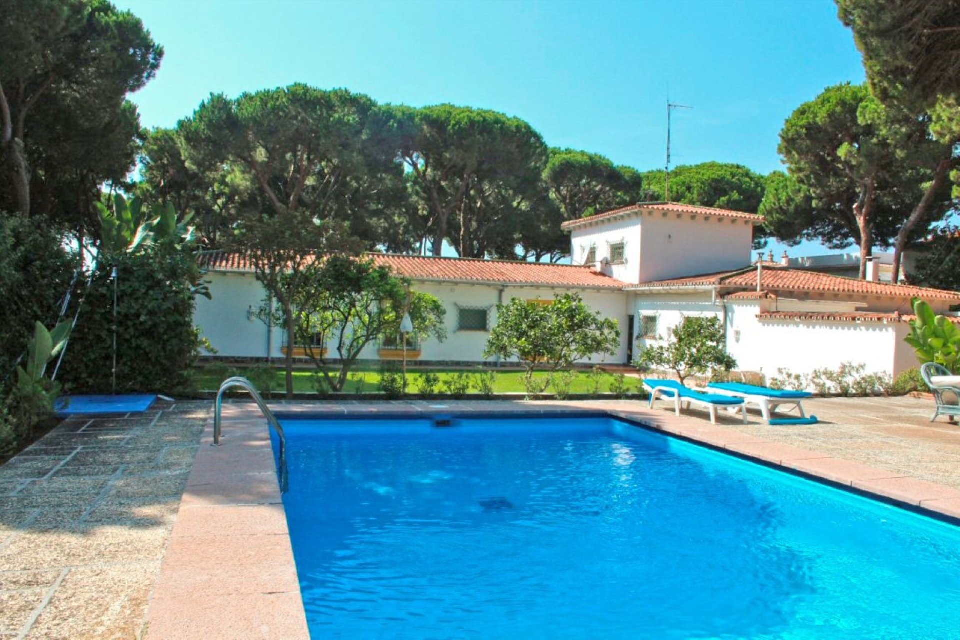 Resale - House - Detached Villa - Marbella - Elviria