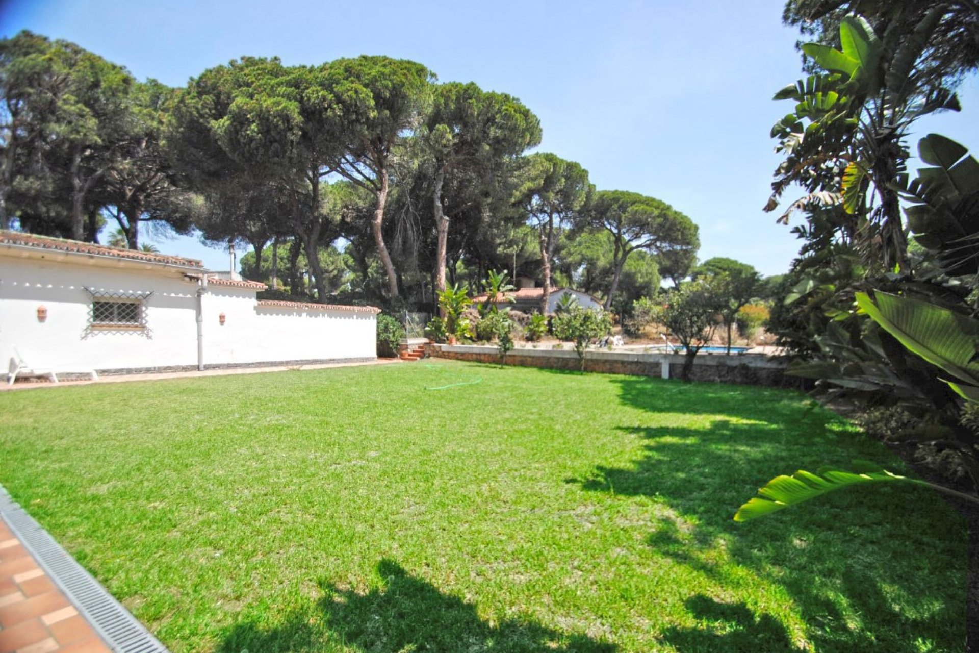 Resale - House - Detached Villa - Marbella - Elviria