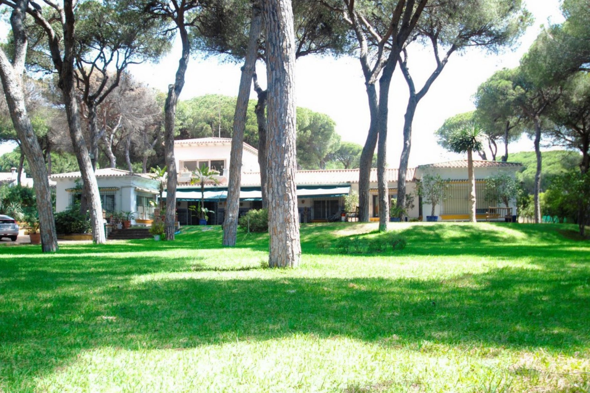 Resale - House - Detached Villa - Marbella - Elviria