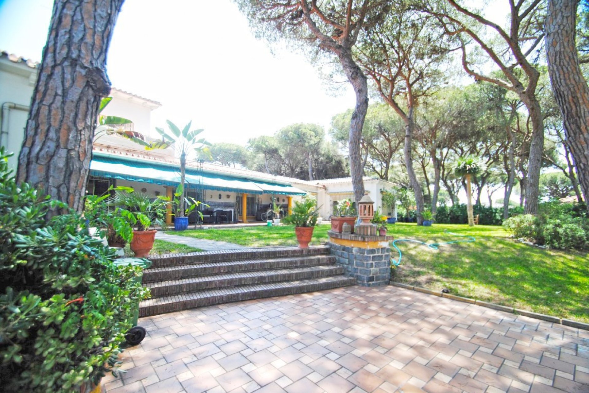 Resale - House - Detached Villa - Marbella - Elviria