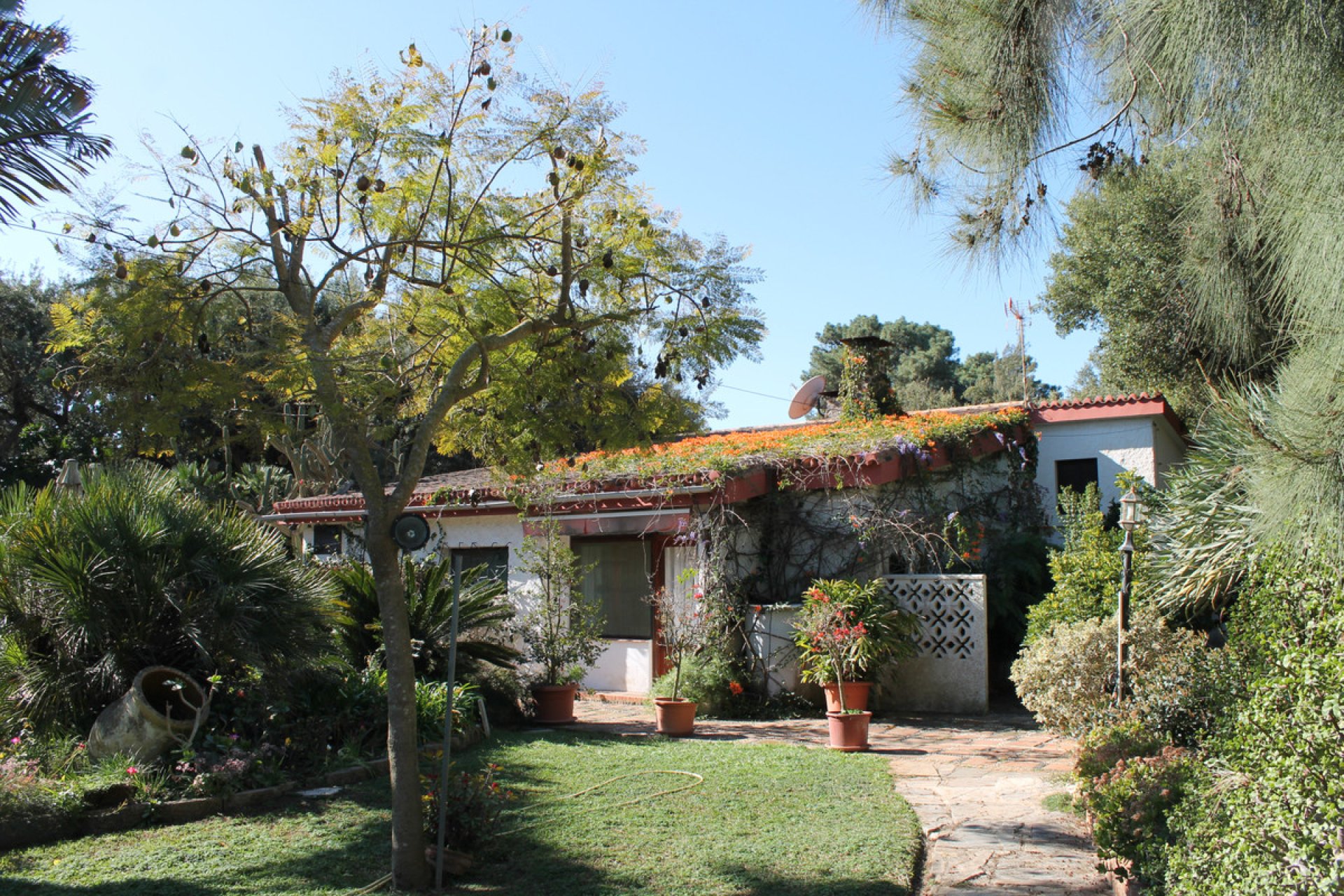 Resale - House - Detached Villa - Marbella - Elviria