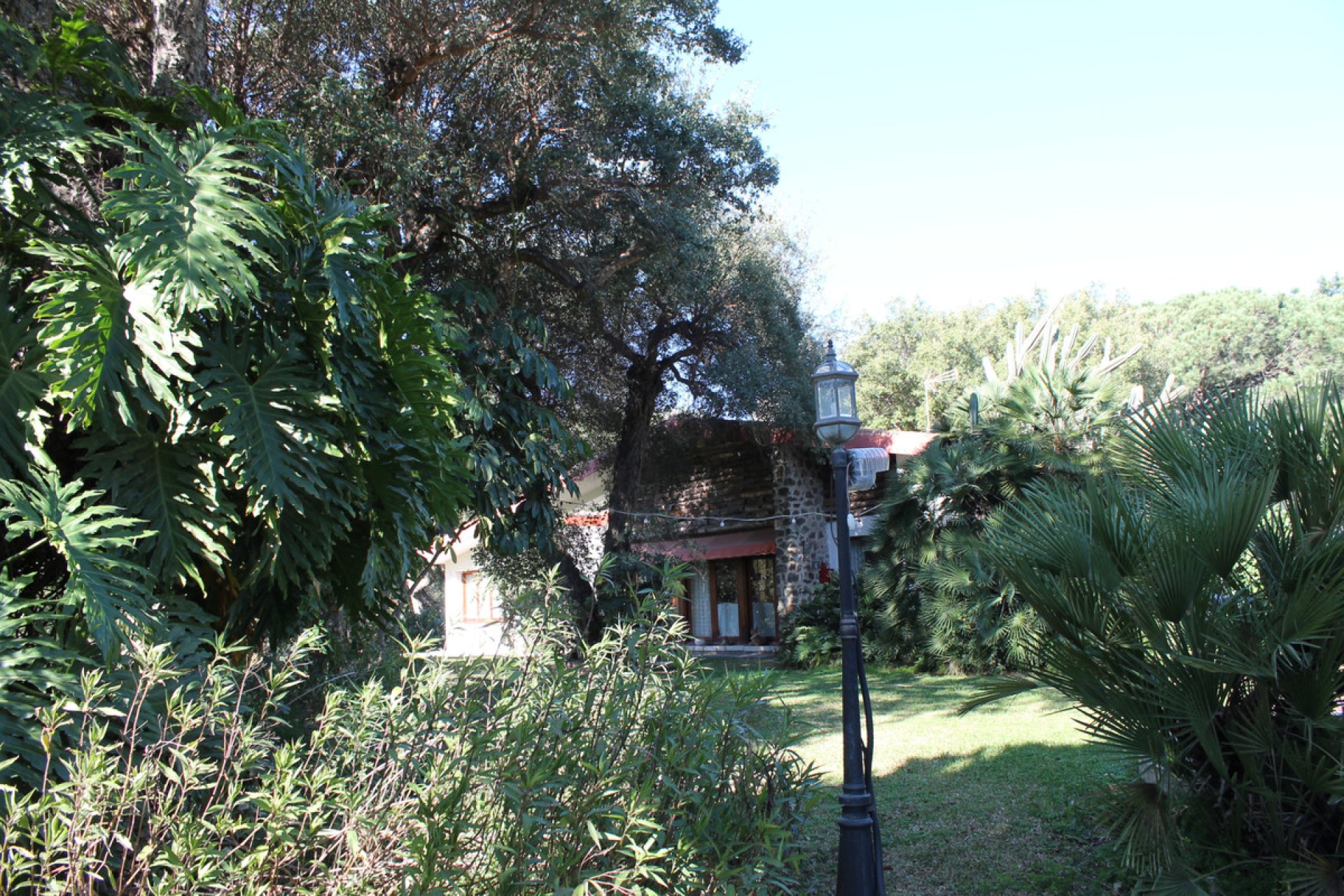 Resale - House - Detached Villa - Marbella - Elviria