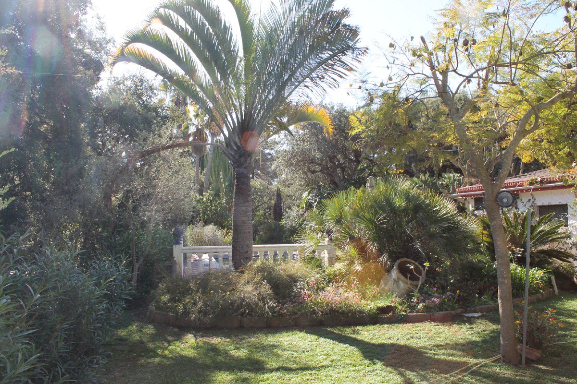 Resale - House - Detached Villa - Marbella - Elviria