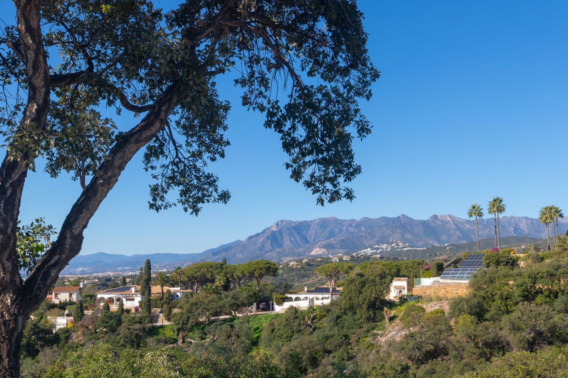 Resale - House - Detached Villa - Marbella - Elviria