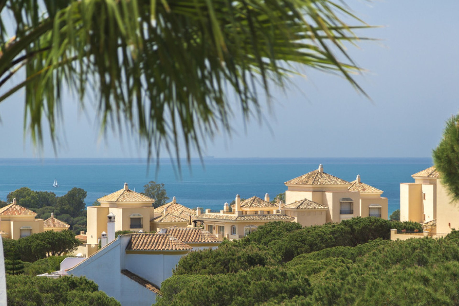 Resale - House - Detached Villa - Marbella - Elviria