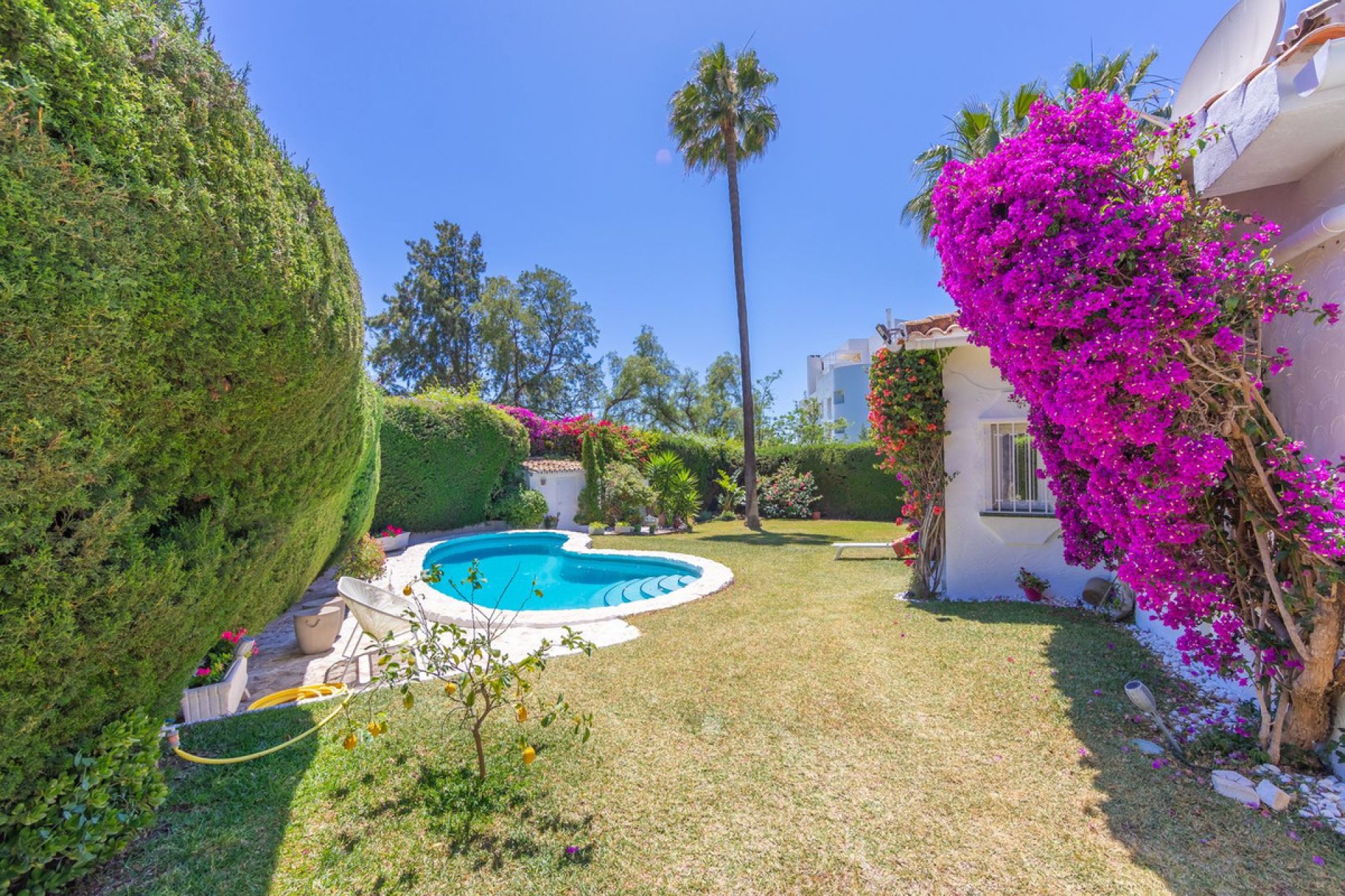 Resale - House - Detached Villa - Marbella - Guadalmina Alta