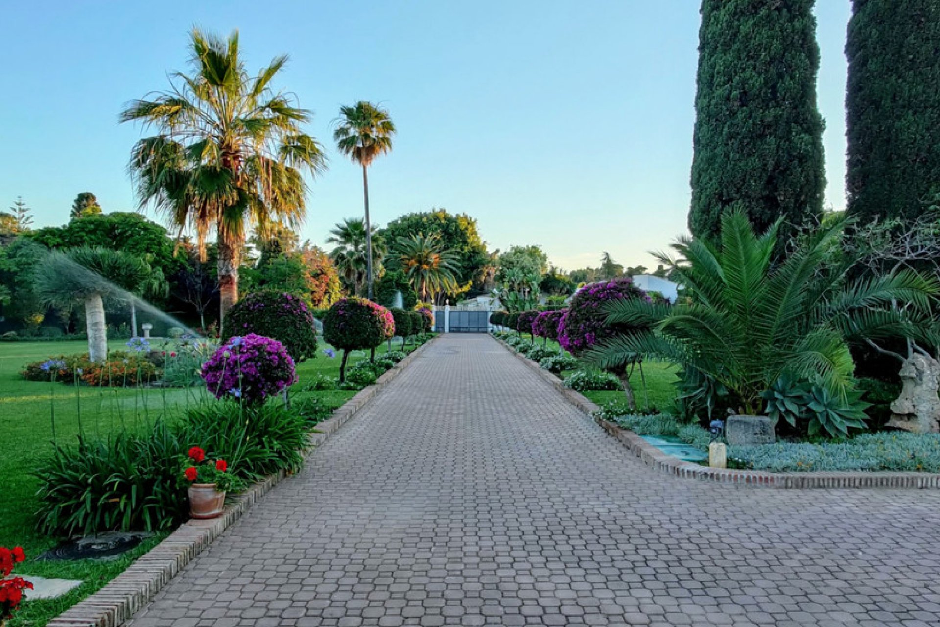 Resale - House - Detached Villa - Marbella - Guadalmina Baja