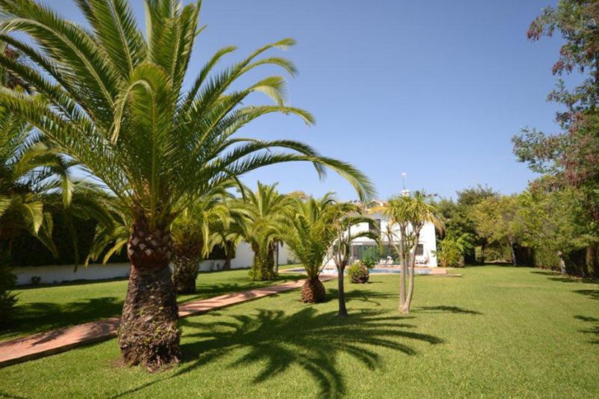 Resale - House - Detached Villa - Marbella - Guadalmina Baja