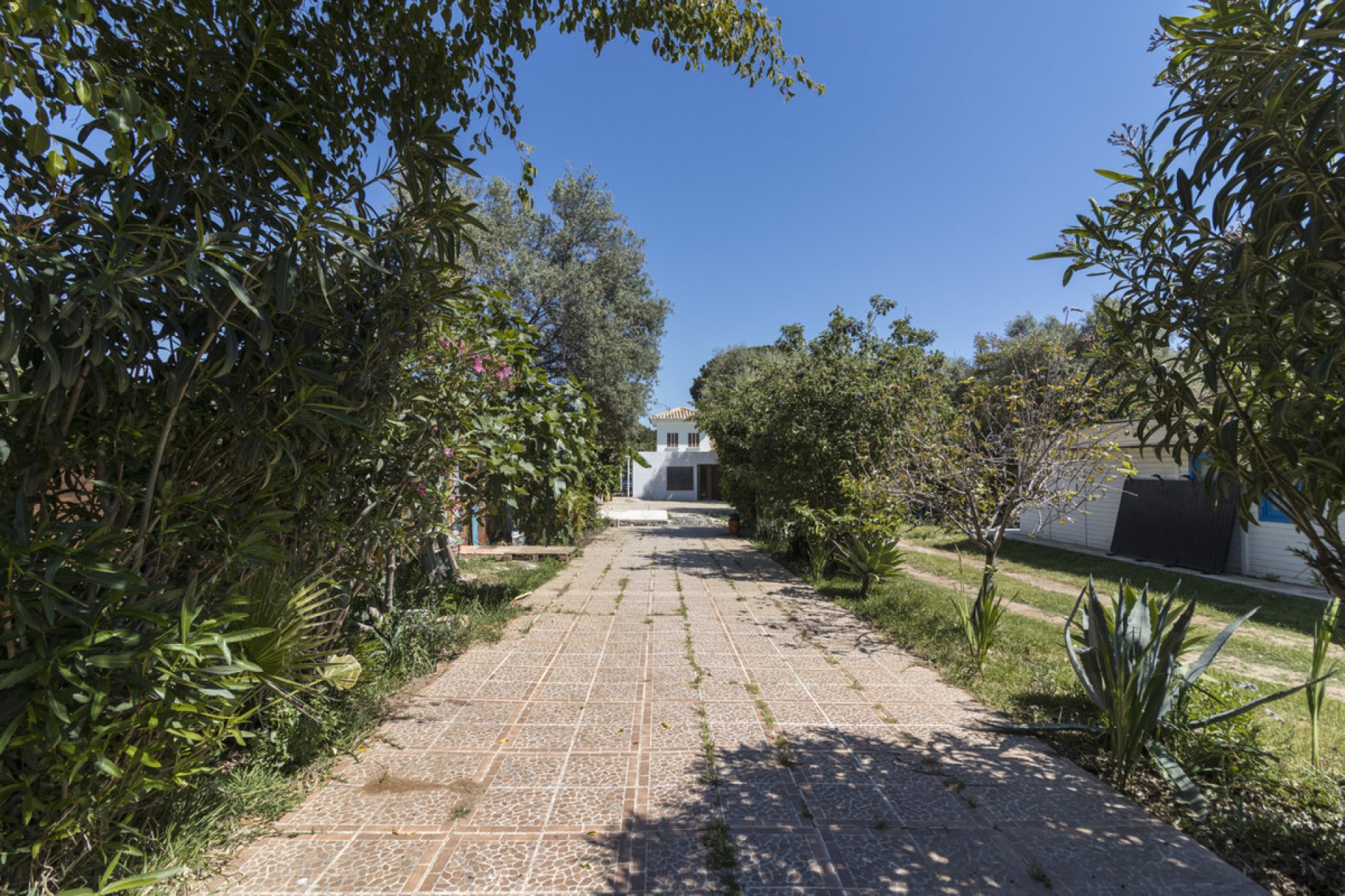 Resale - House - Detached Villa - Marbella - Marbella Centro