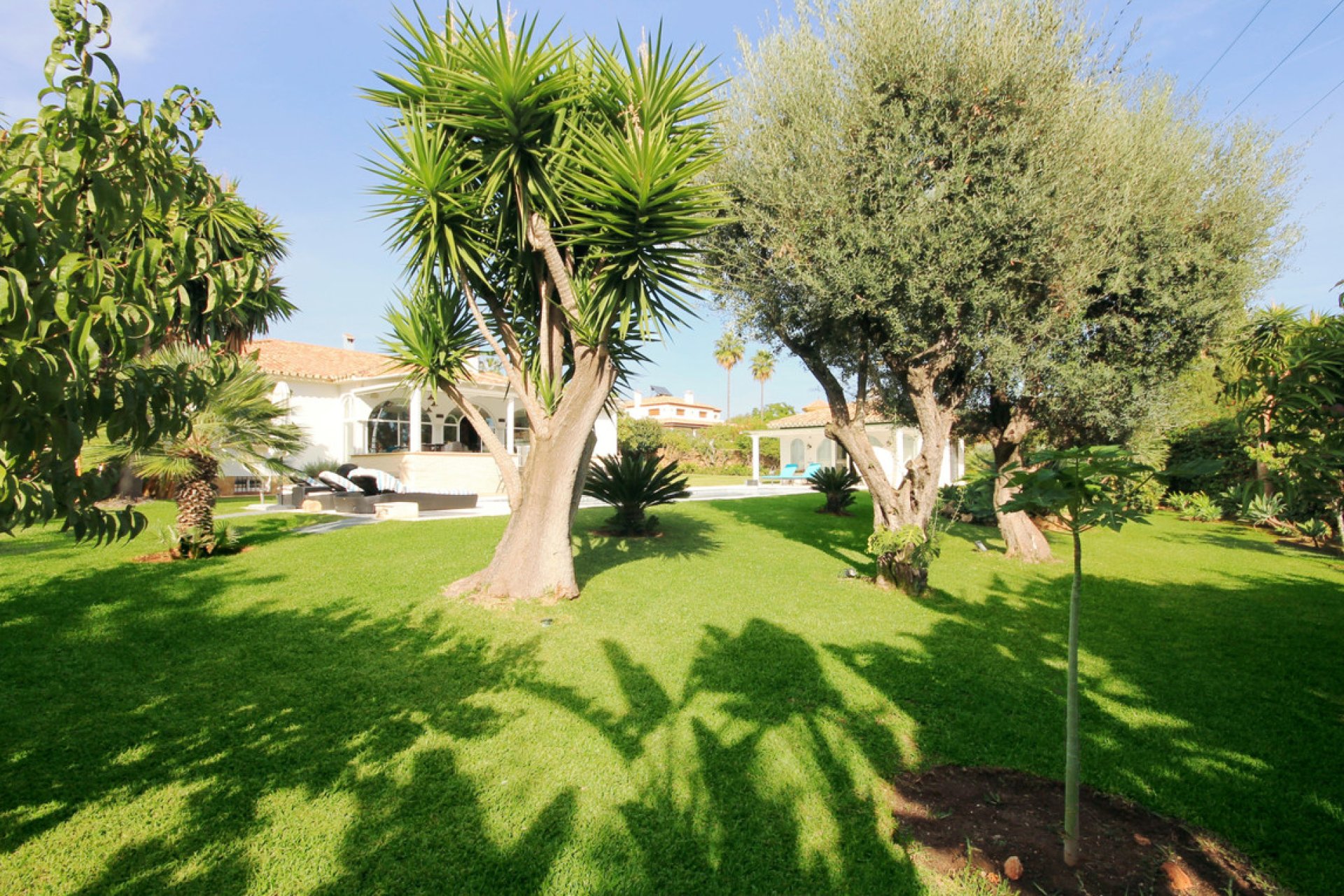 Resale - House - Detached Villa - Marbella - Marbella Centro