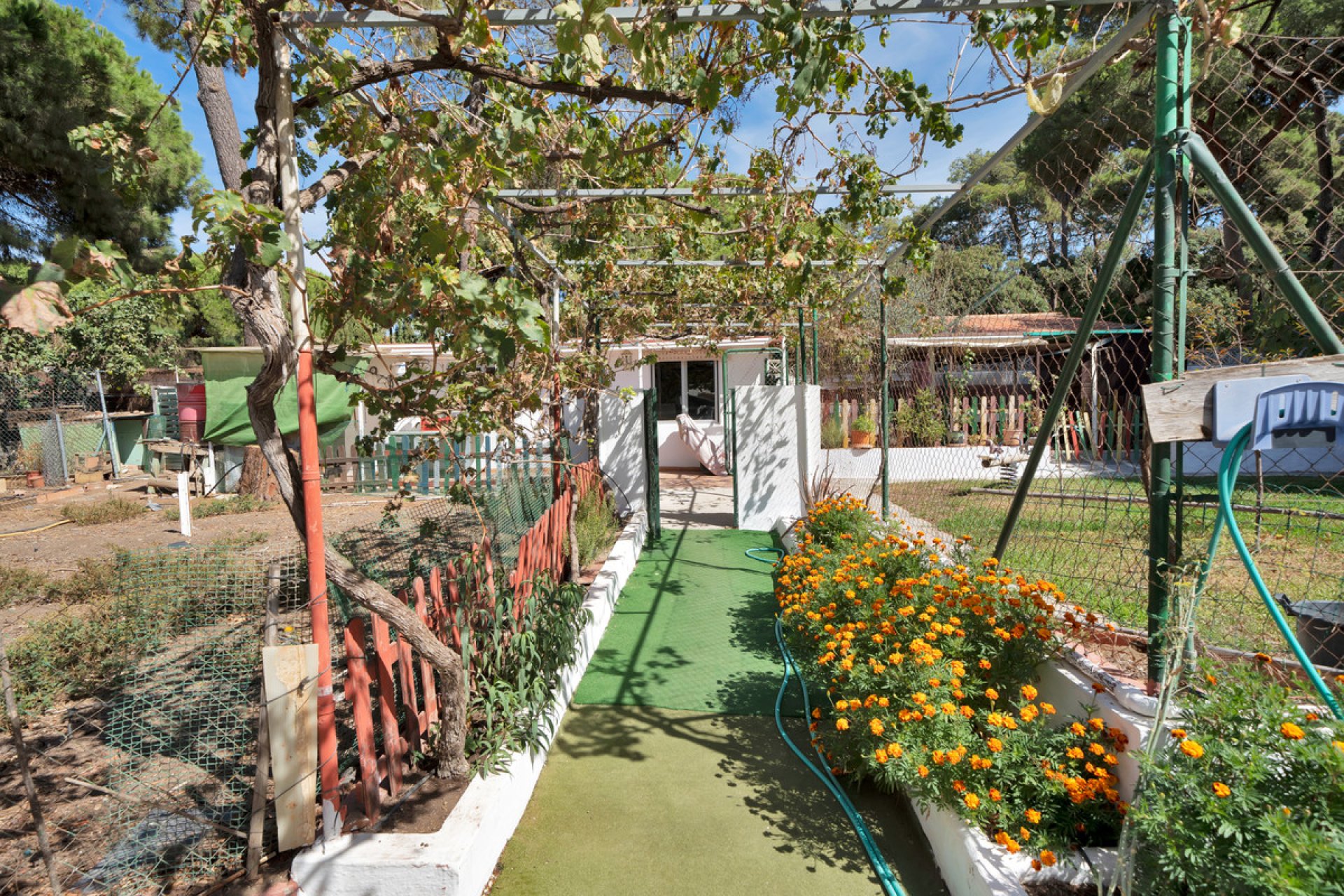 Resale - House - Detached Villa - Marbella - Marbella Centro