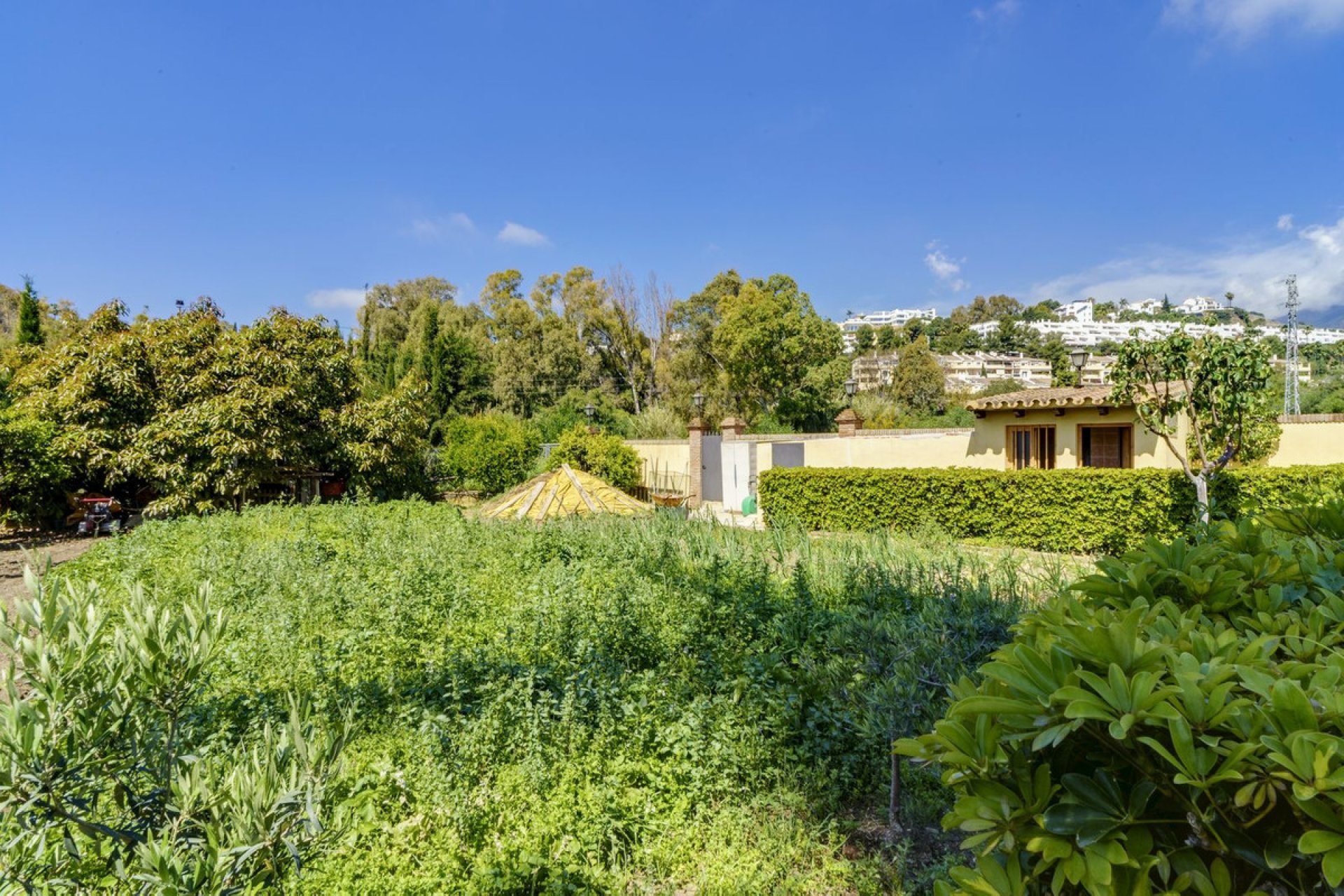 Resale - House - Detached Villa - Marbella - Nueva Andalucia