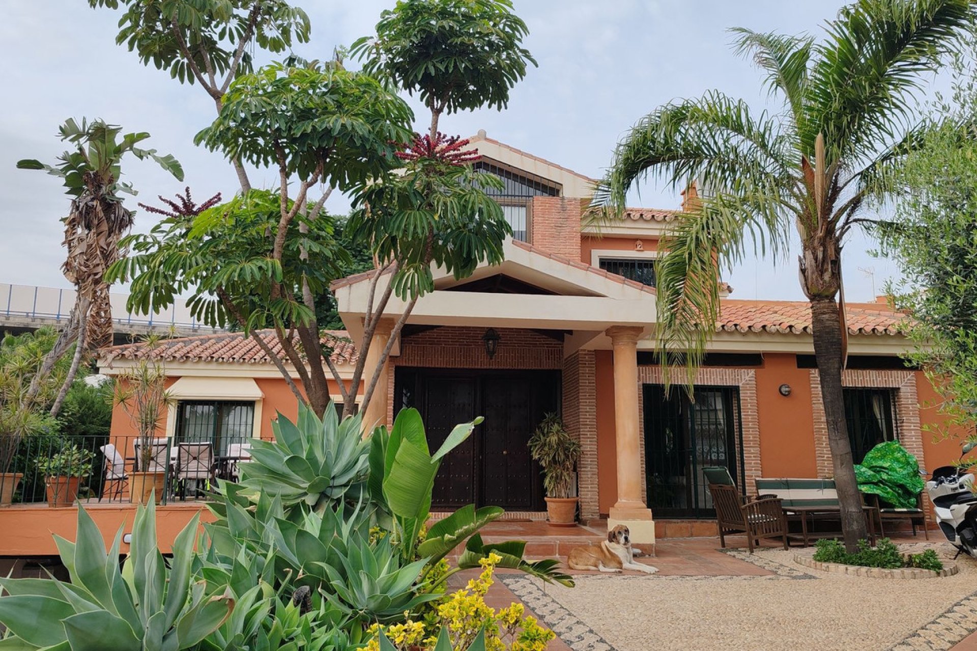 Resale - House - Detached Villa - Marbella - Nueva Andalucia