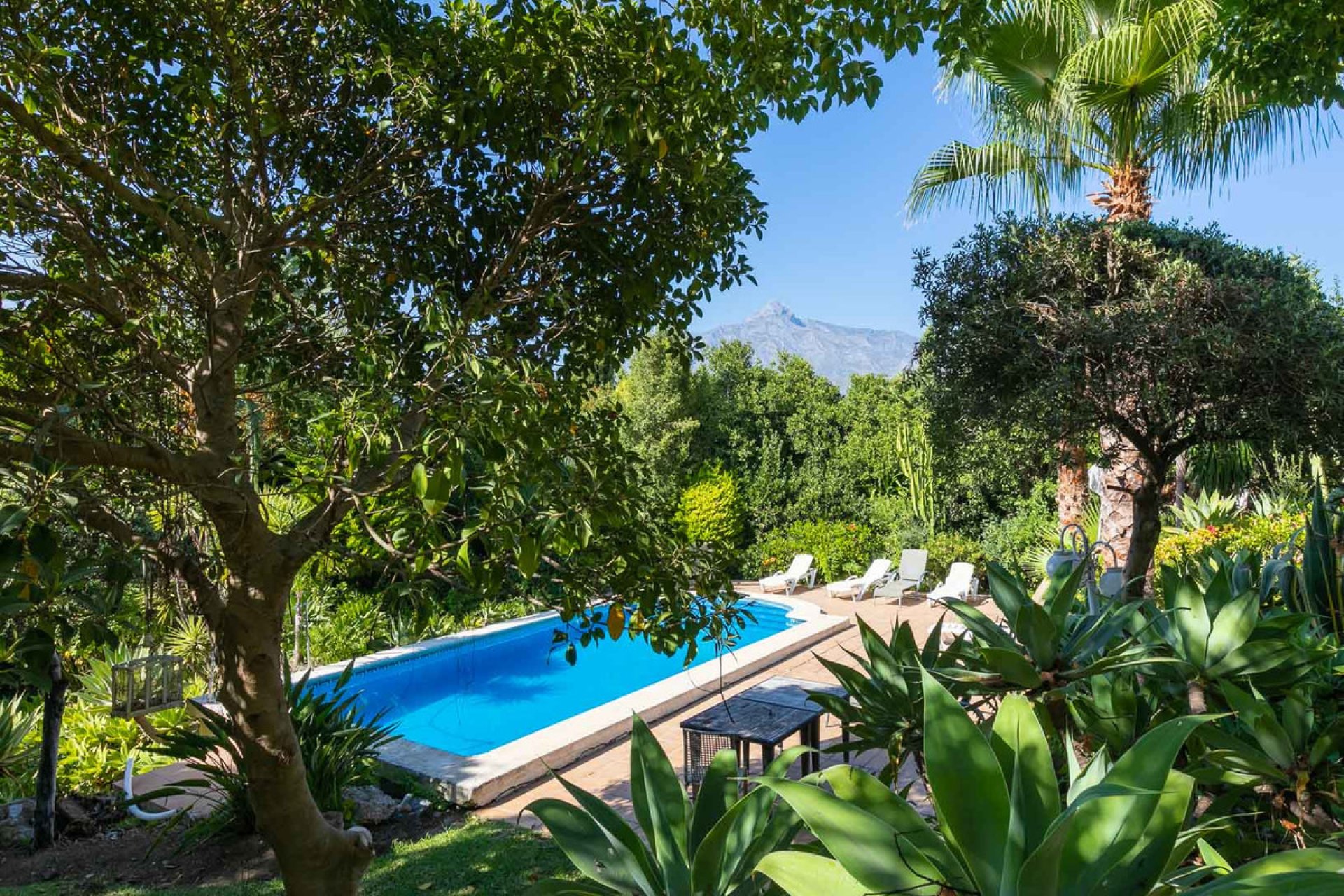 Resale - House - Detached Villa - Marbella - Nueva Andalucia